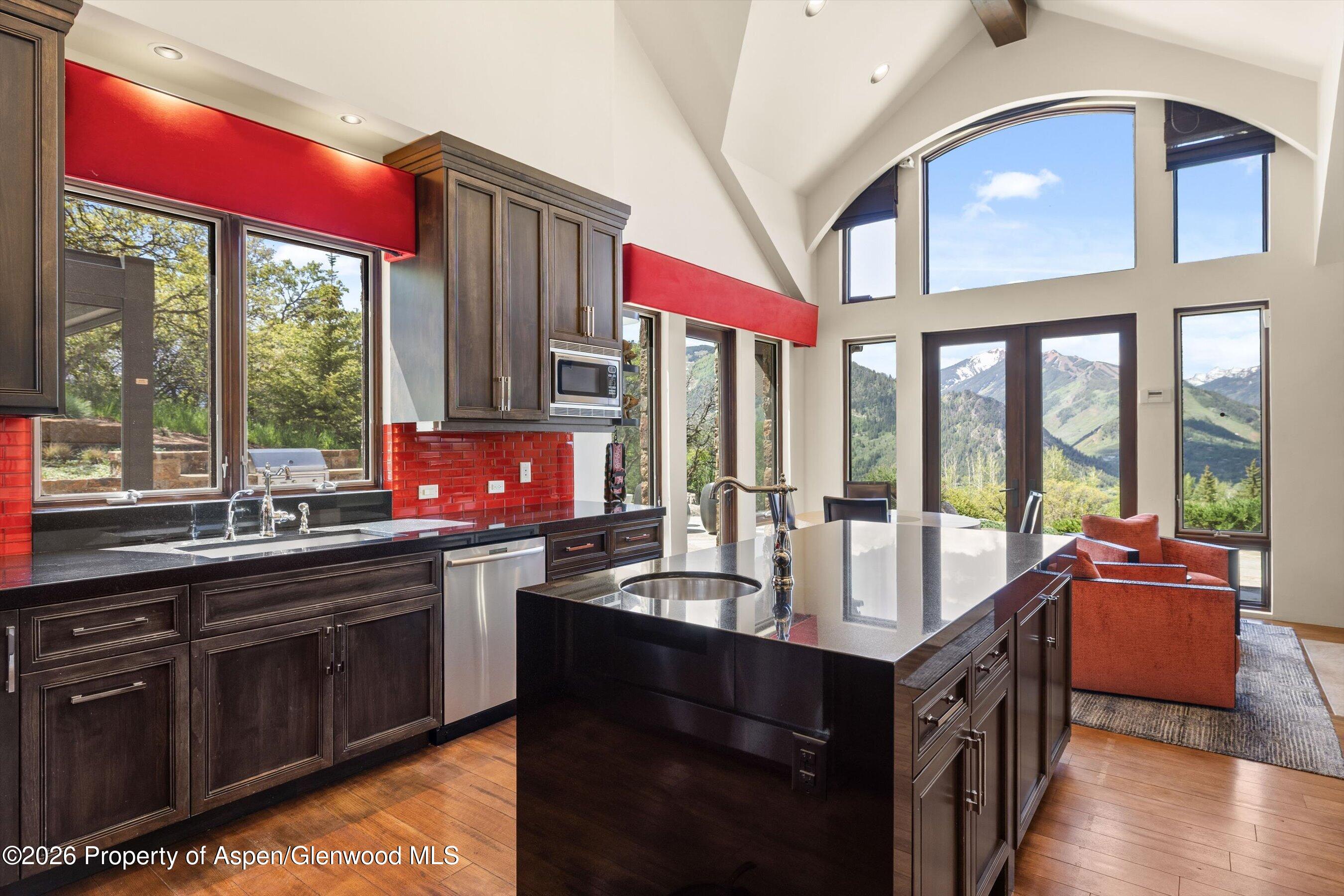 1682 Red Mountain Road Aspen CO 81611