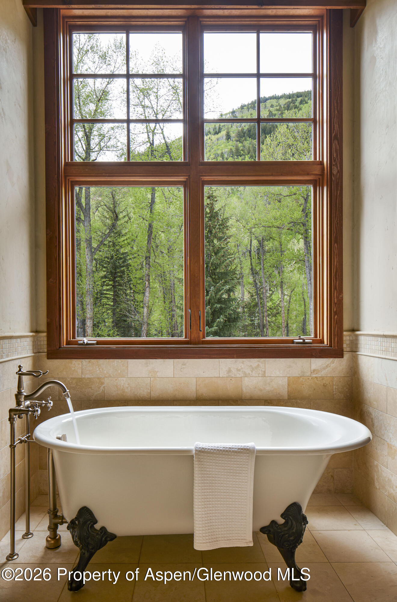 143 N Conundrum Creek Road Aspen CO 81611