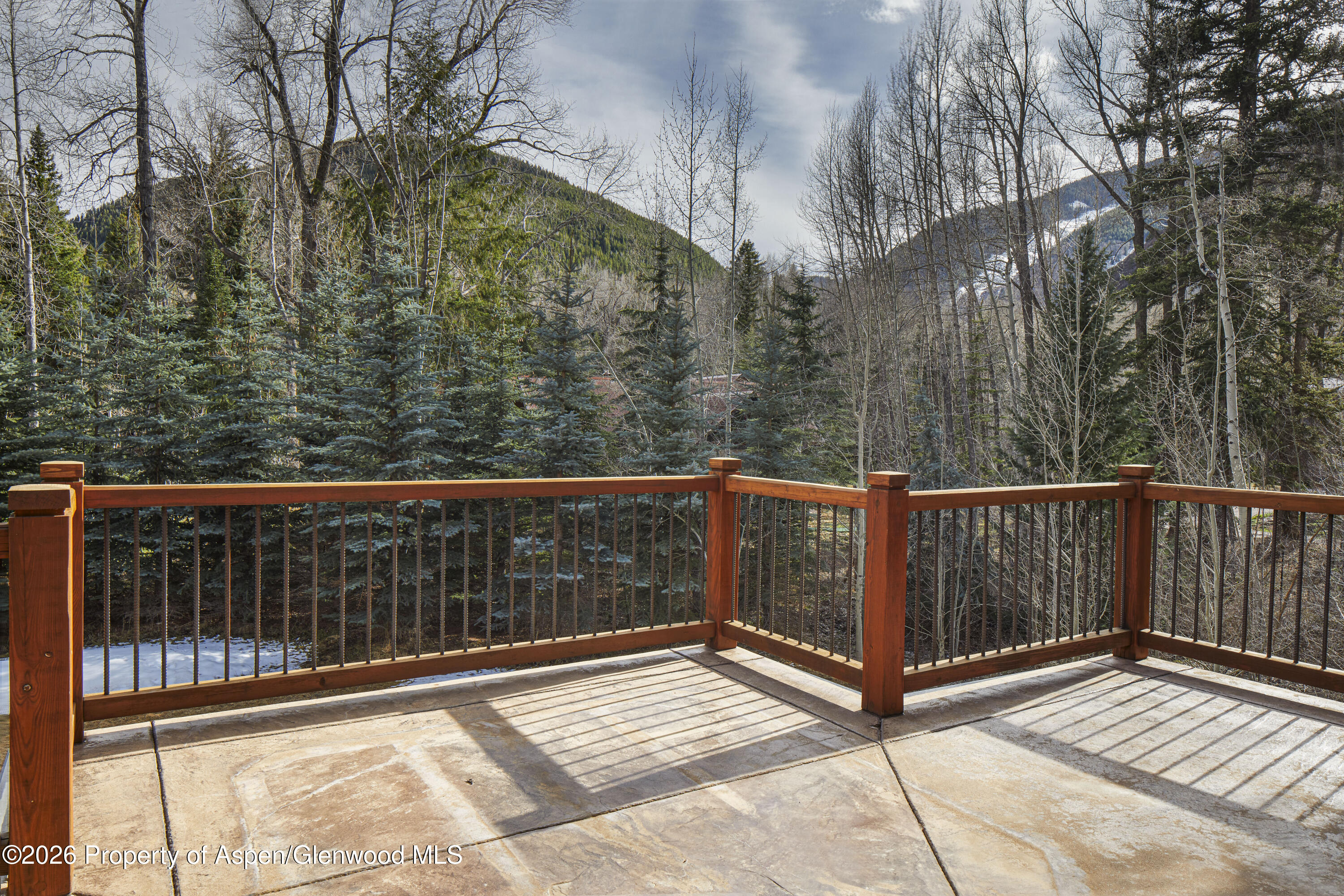 143 N Conundrum Creek Road Aspen CO 81611