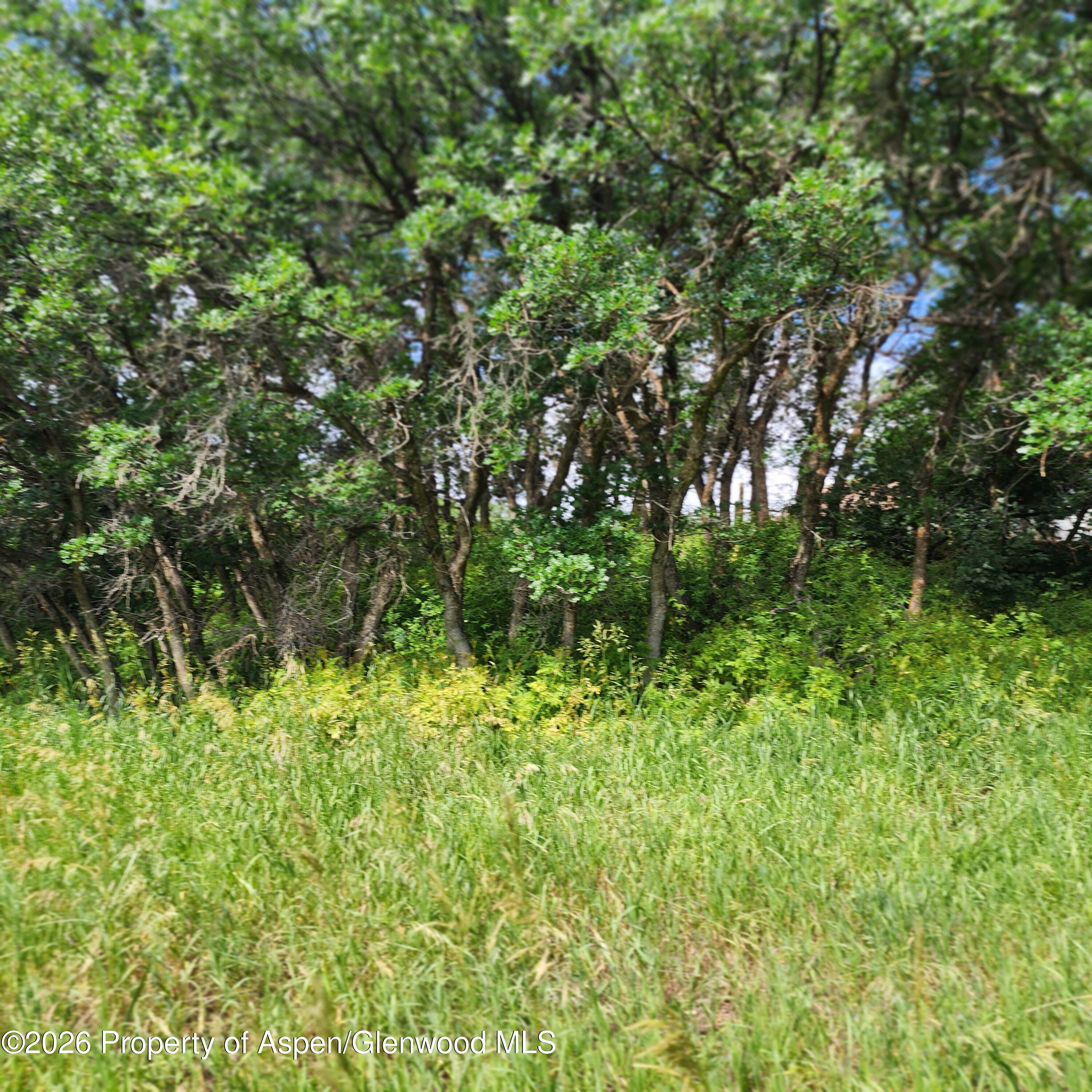 7900 County Road 41 Hamilton CO 81638