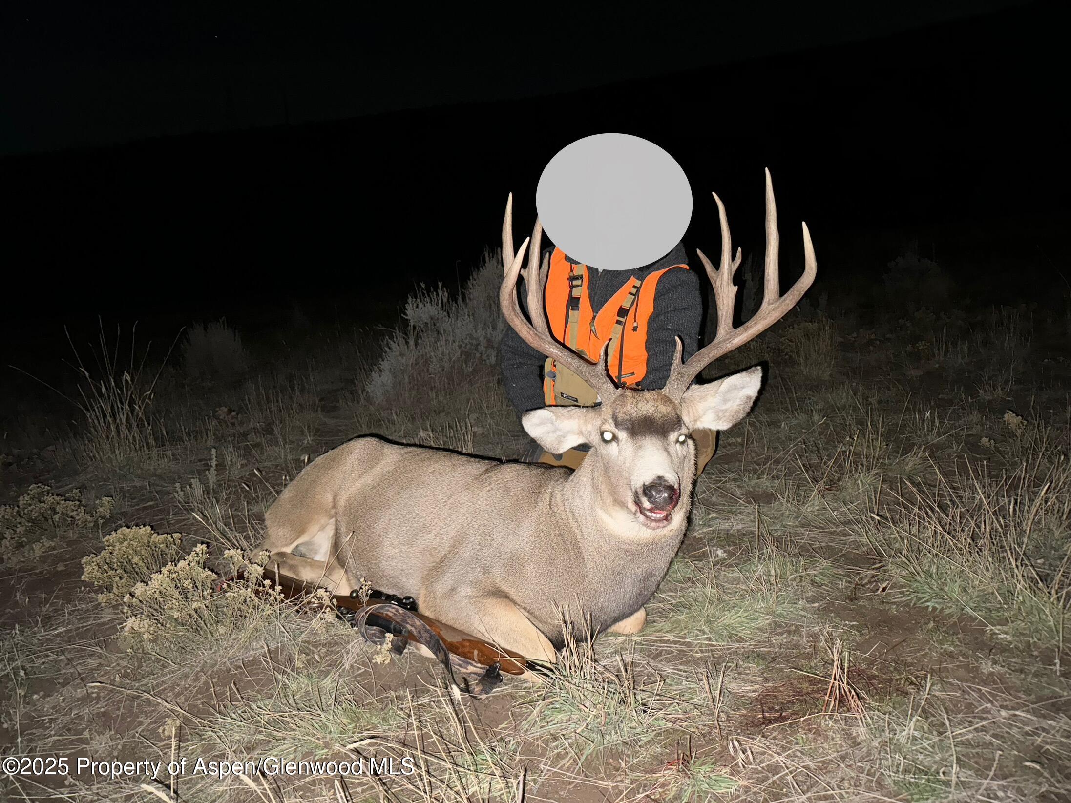 10444 County Road 320 Rifle CO 81650