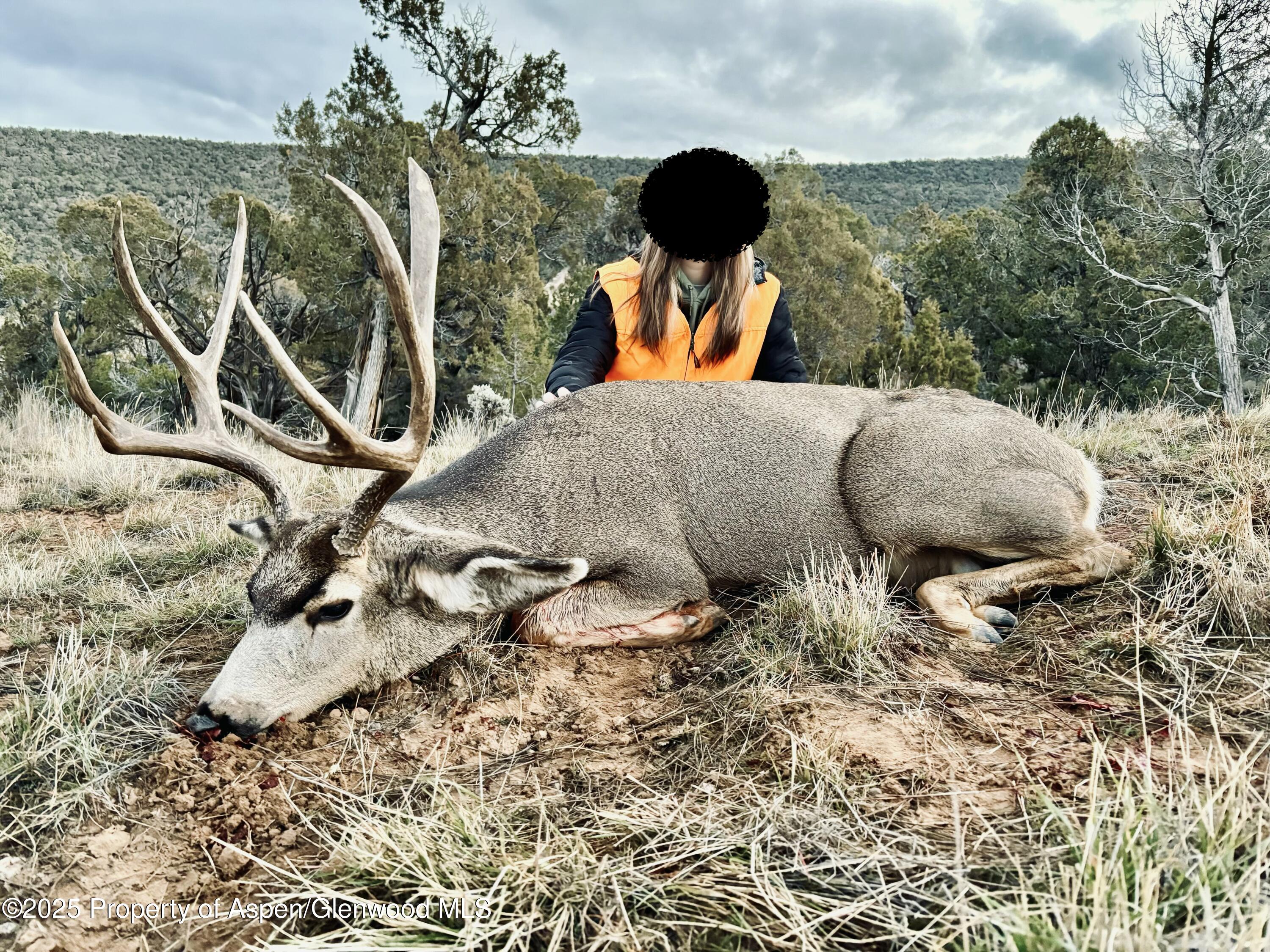 10444 County Road 320 Rifle CO 81650