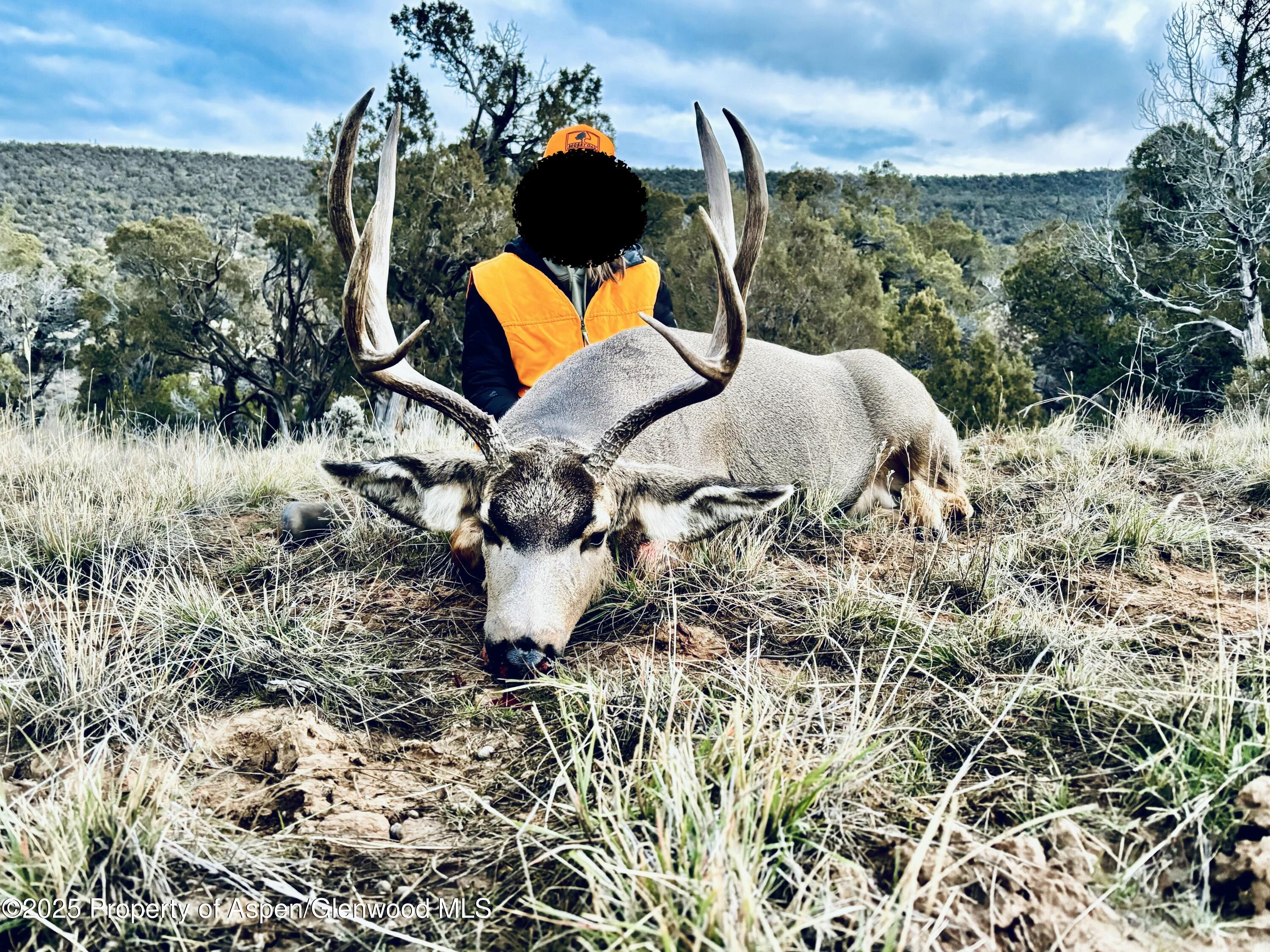 10444 County Road 320 Rifle CO 81650