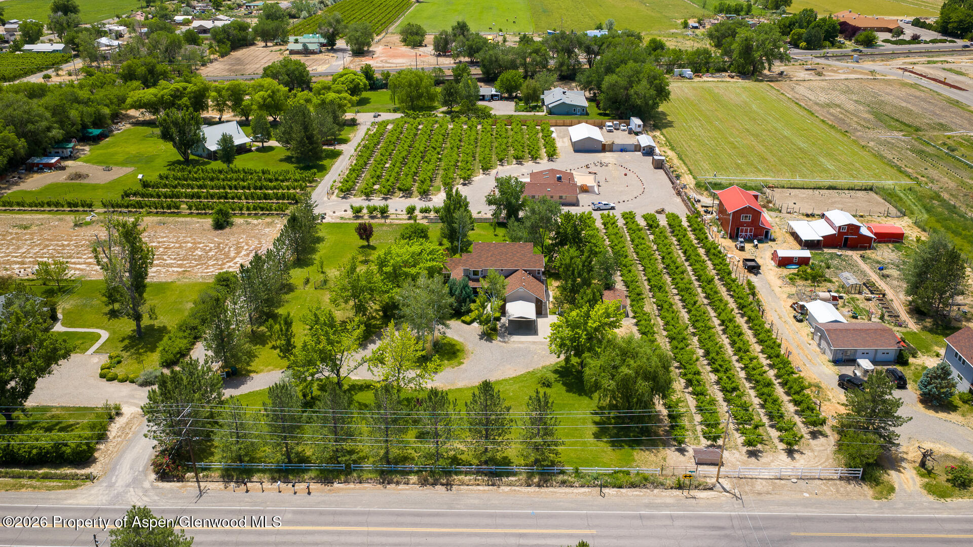 3609 G Road Palisade CO 81526