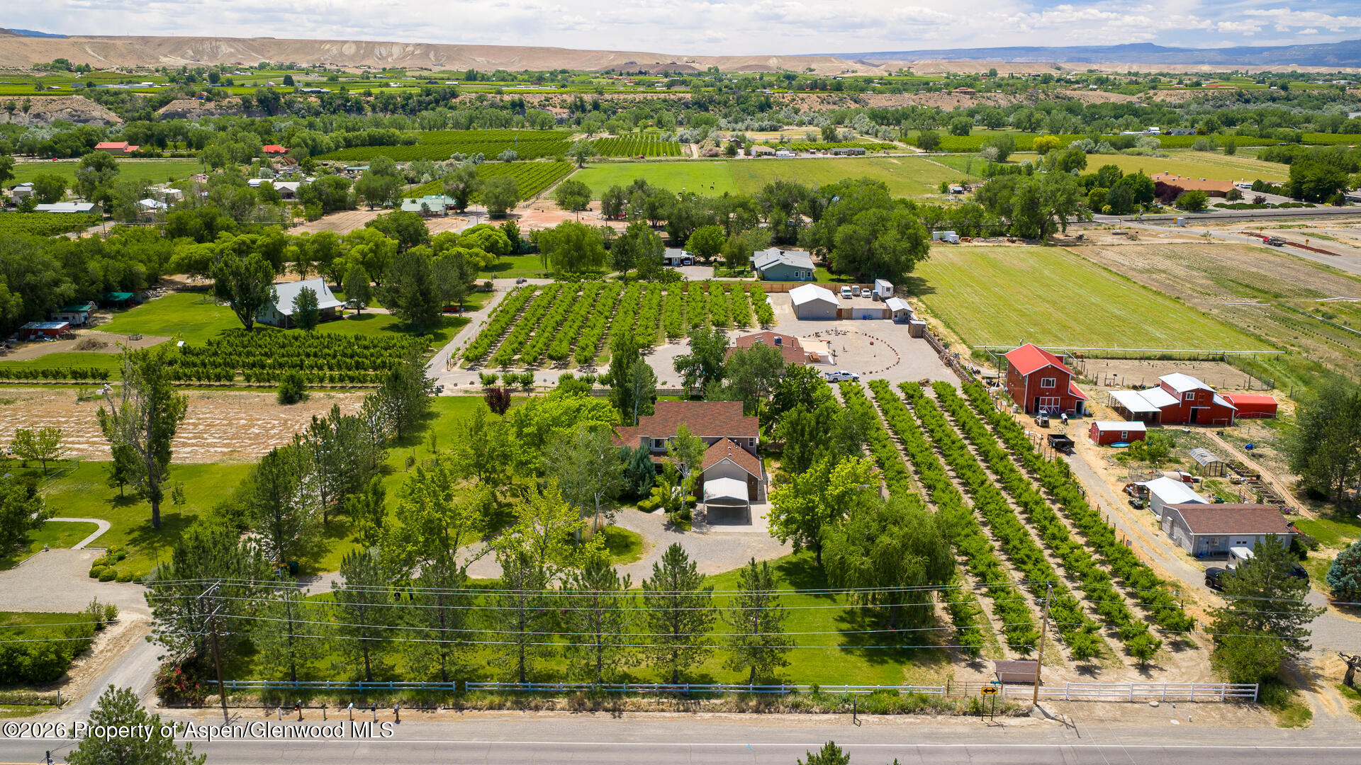 3609 G Road Palisade CO 81526