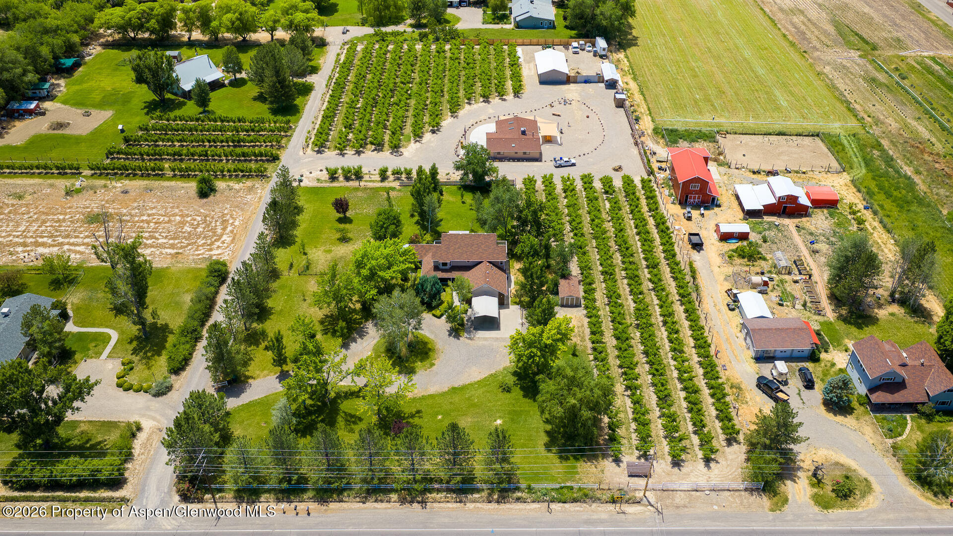 3609 G Road Palisade CO 81526