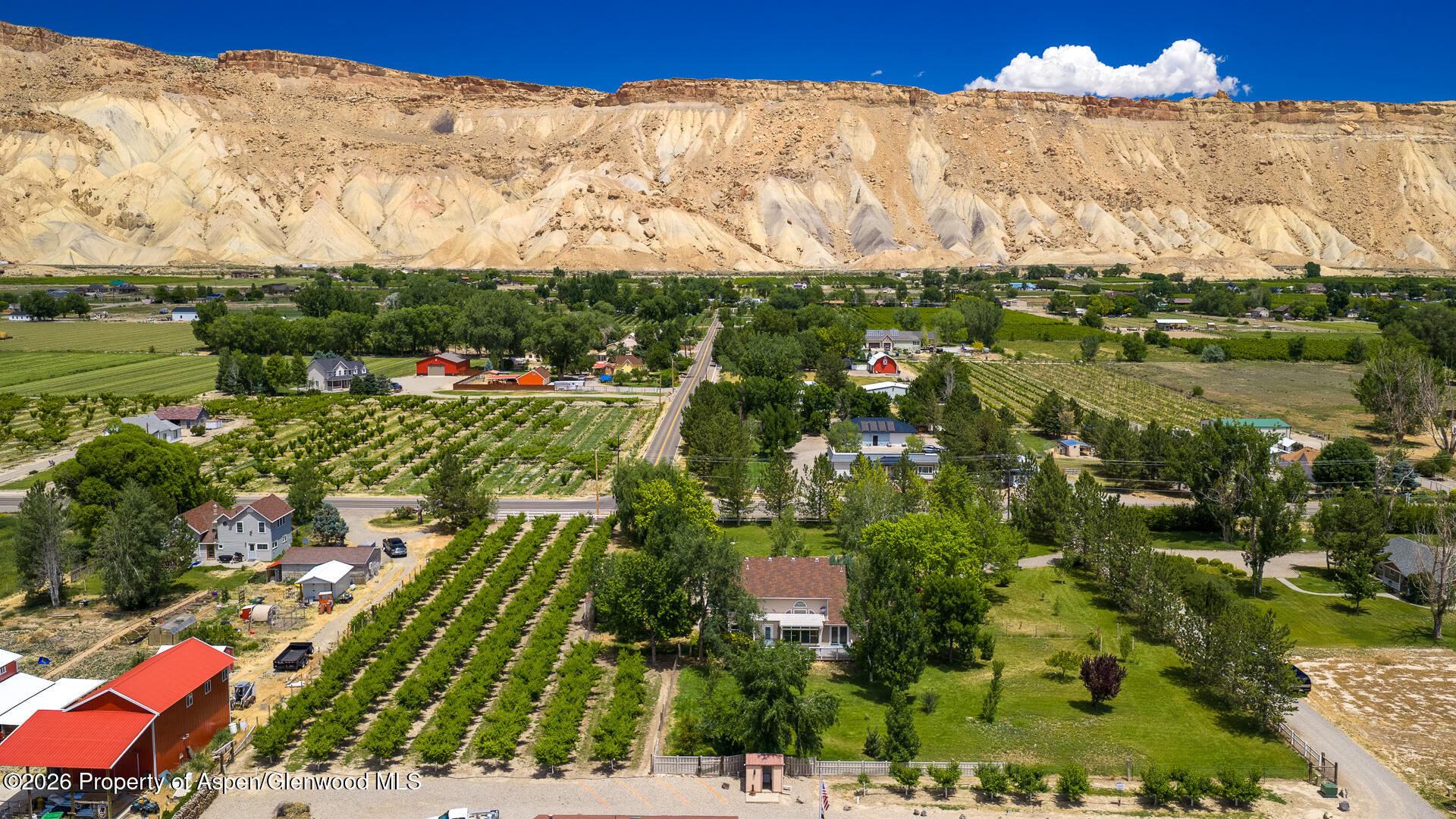 3609 G Road Palisade CO 81526