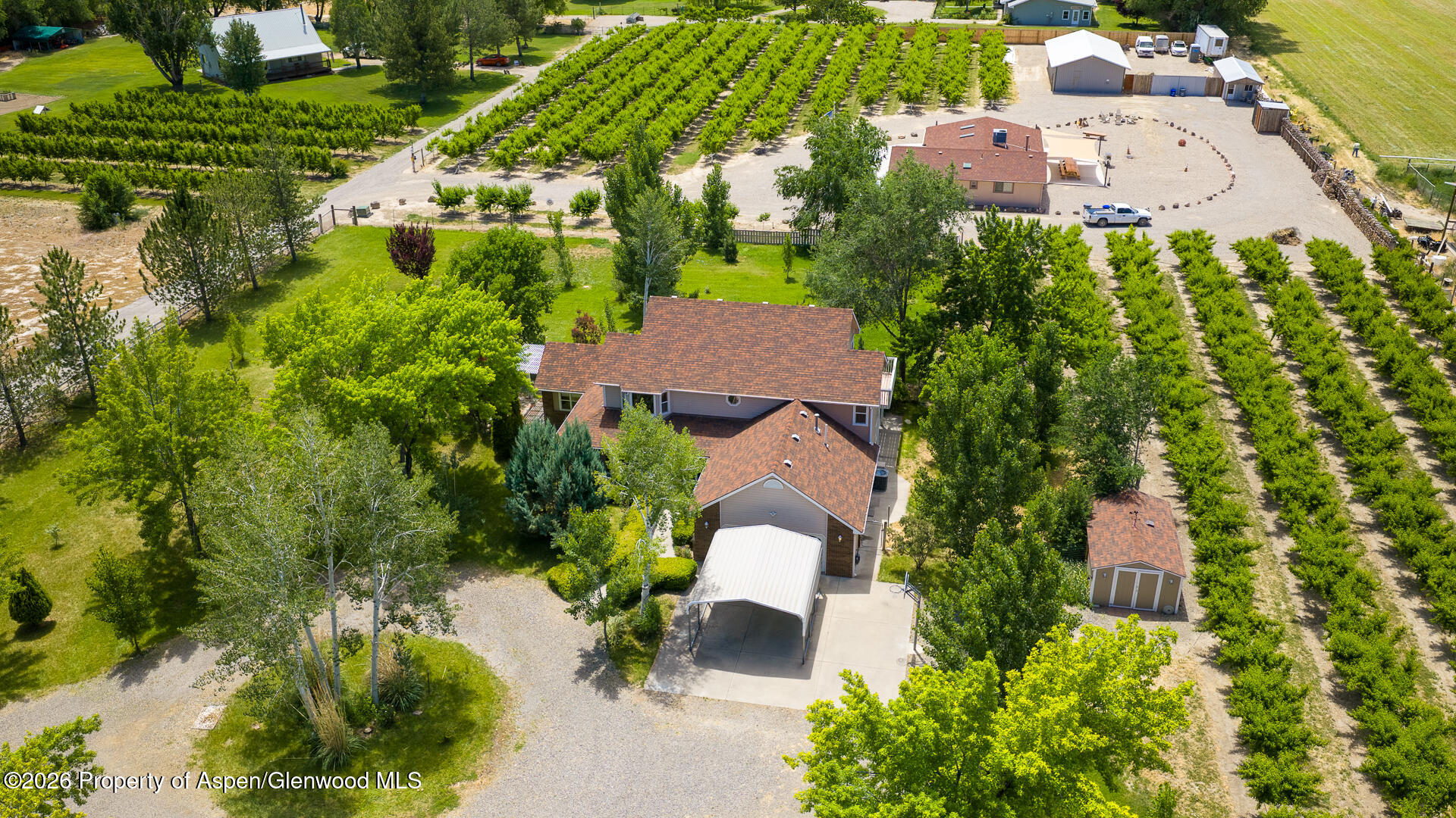 3609 G Road Palisade CO 81526