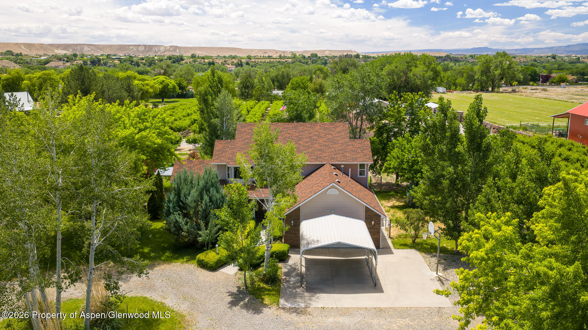 3609 G Road Palisade CO 81526