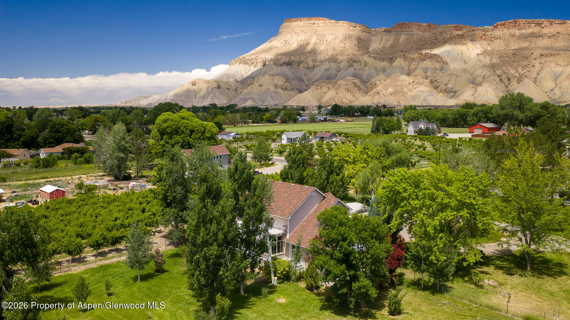 3609 G Road Palisade CO 81526