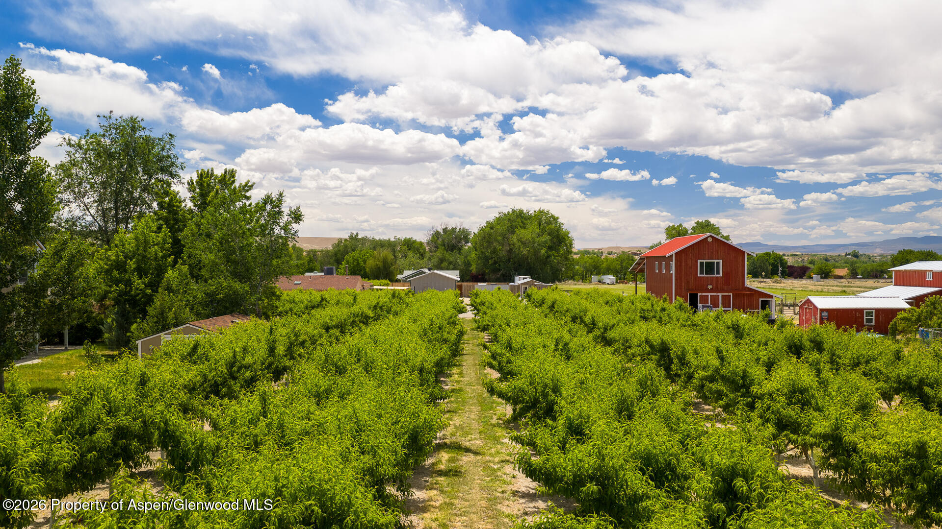 3609 G Road Palisade CO 81526