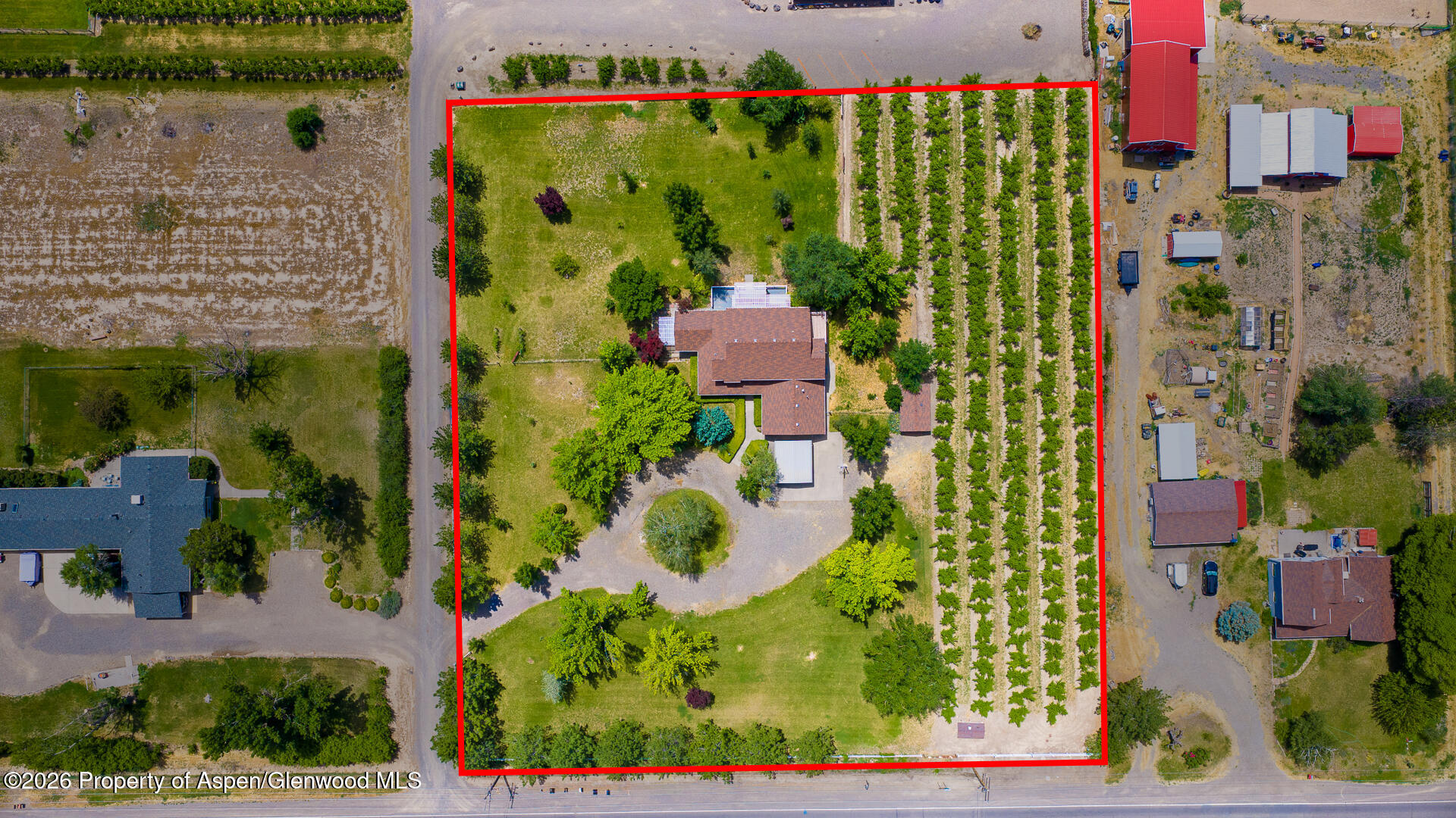 3609 G Road Palisade CO 81526