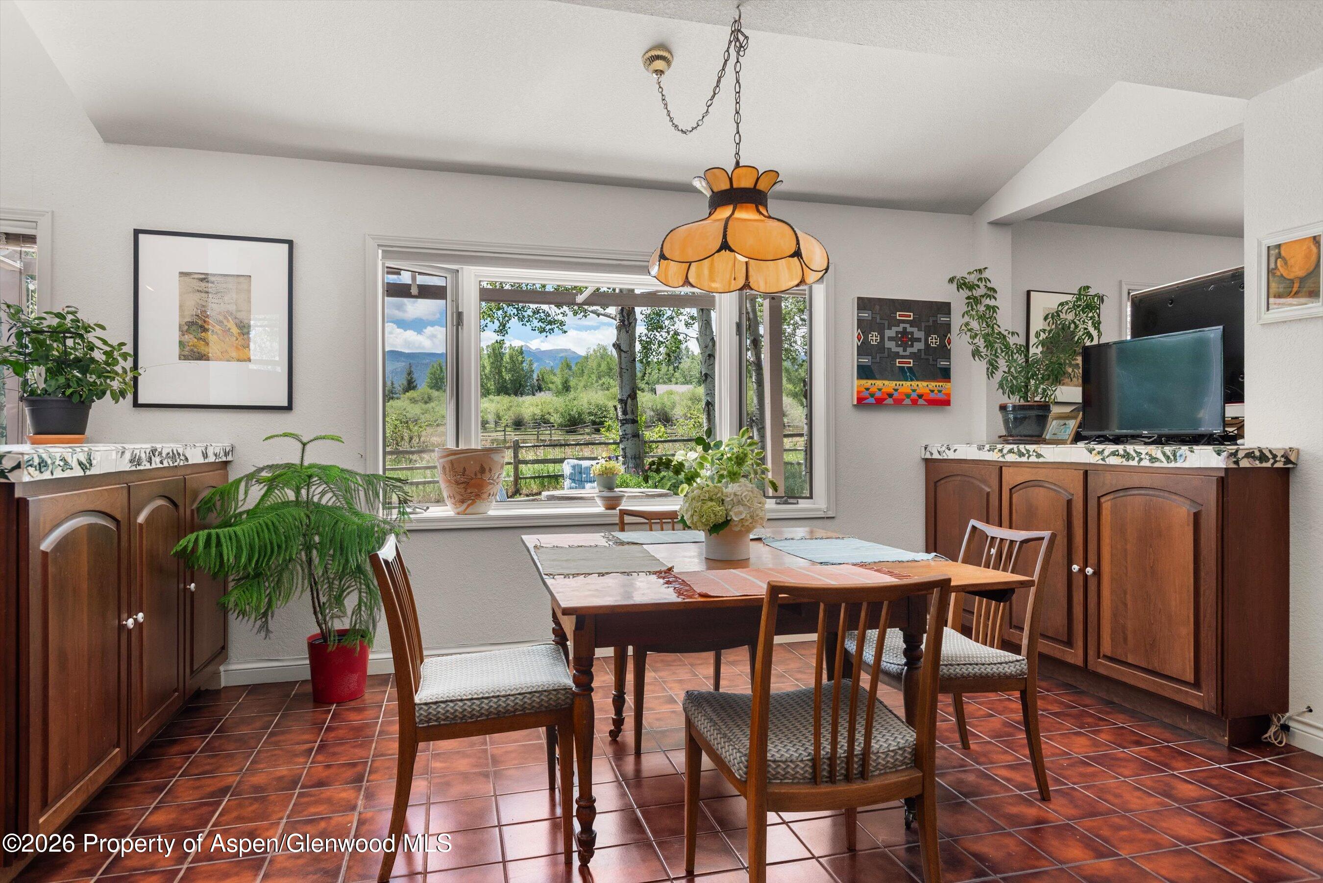 47 Davidson Lane Snowmass CO 81654
