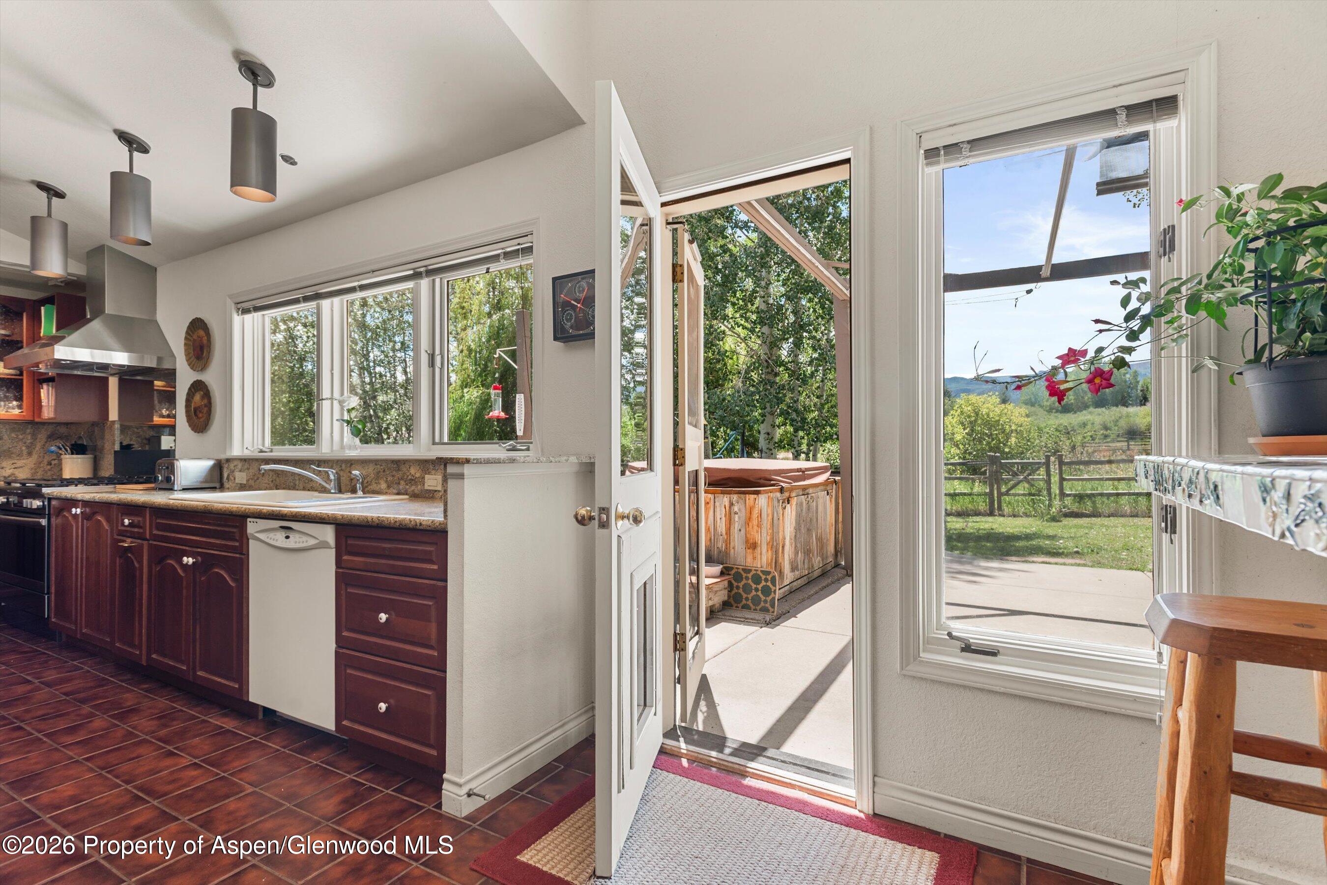 47 Davidson Lane Snowmass CO 81654