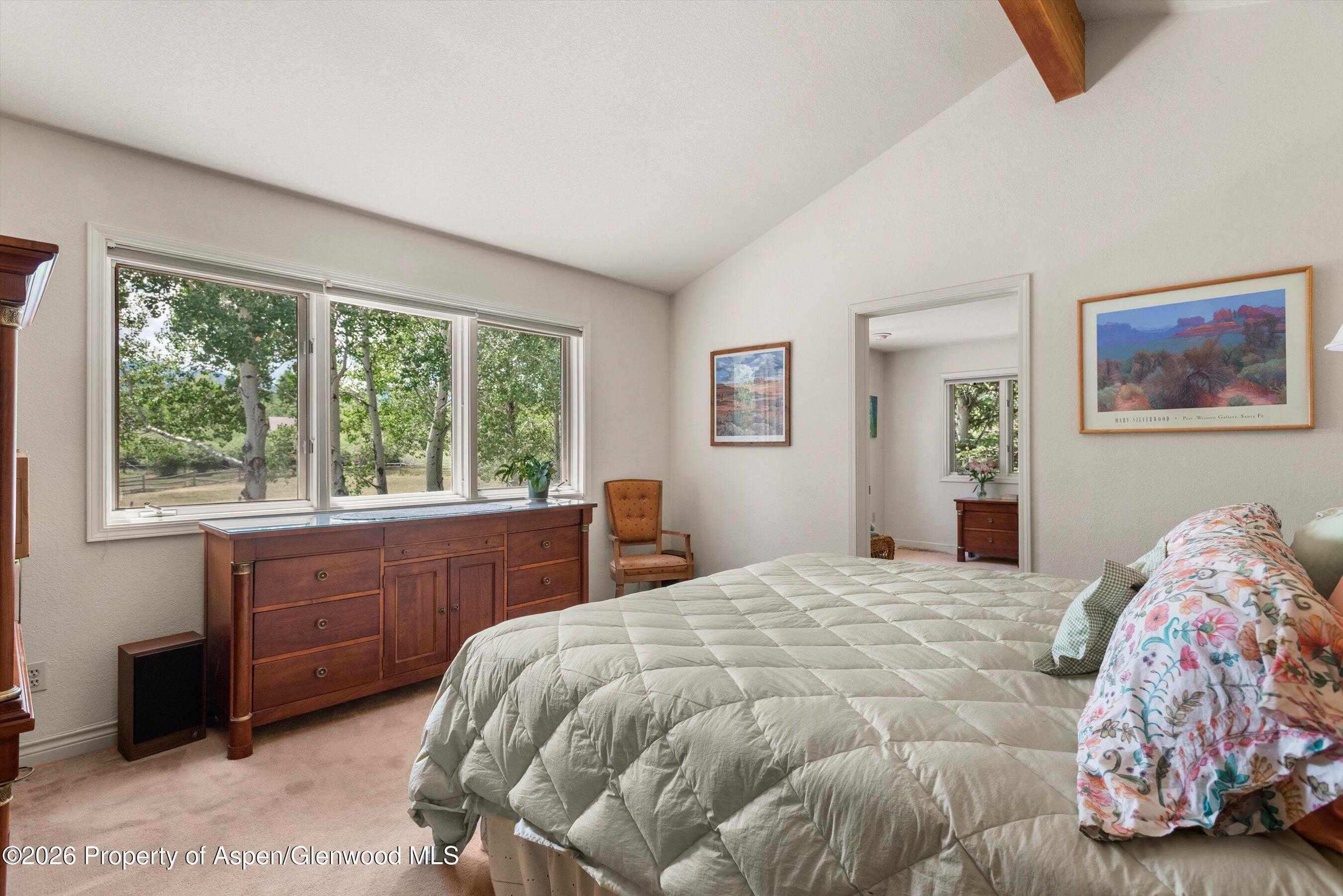 47 Davidson Lane Snowmass CO 81654