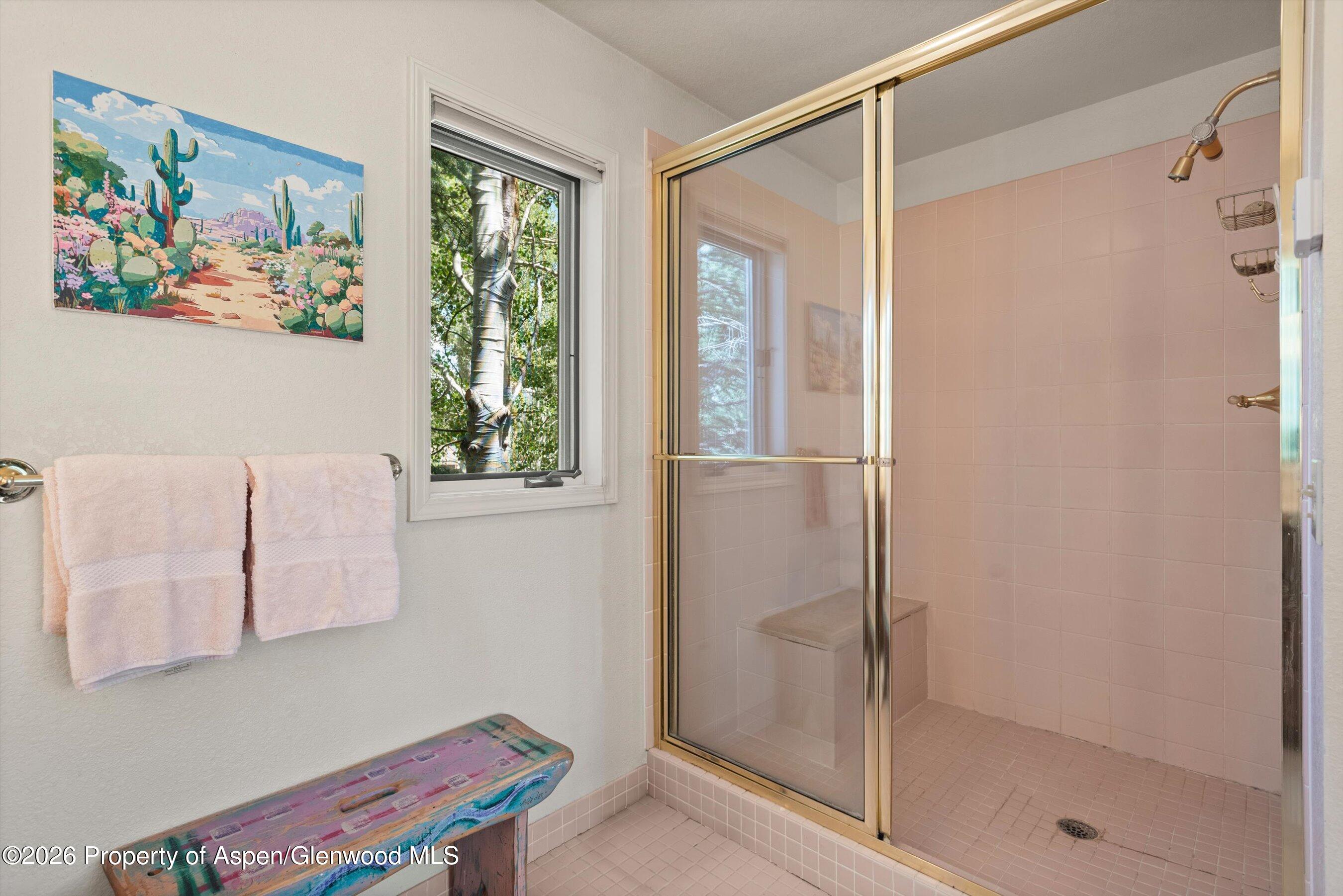 47 Davidson Lane Snowmass CO 81654