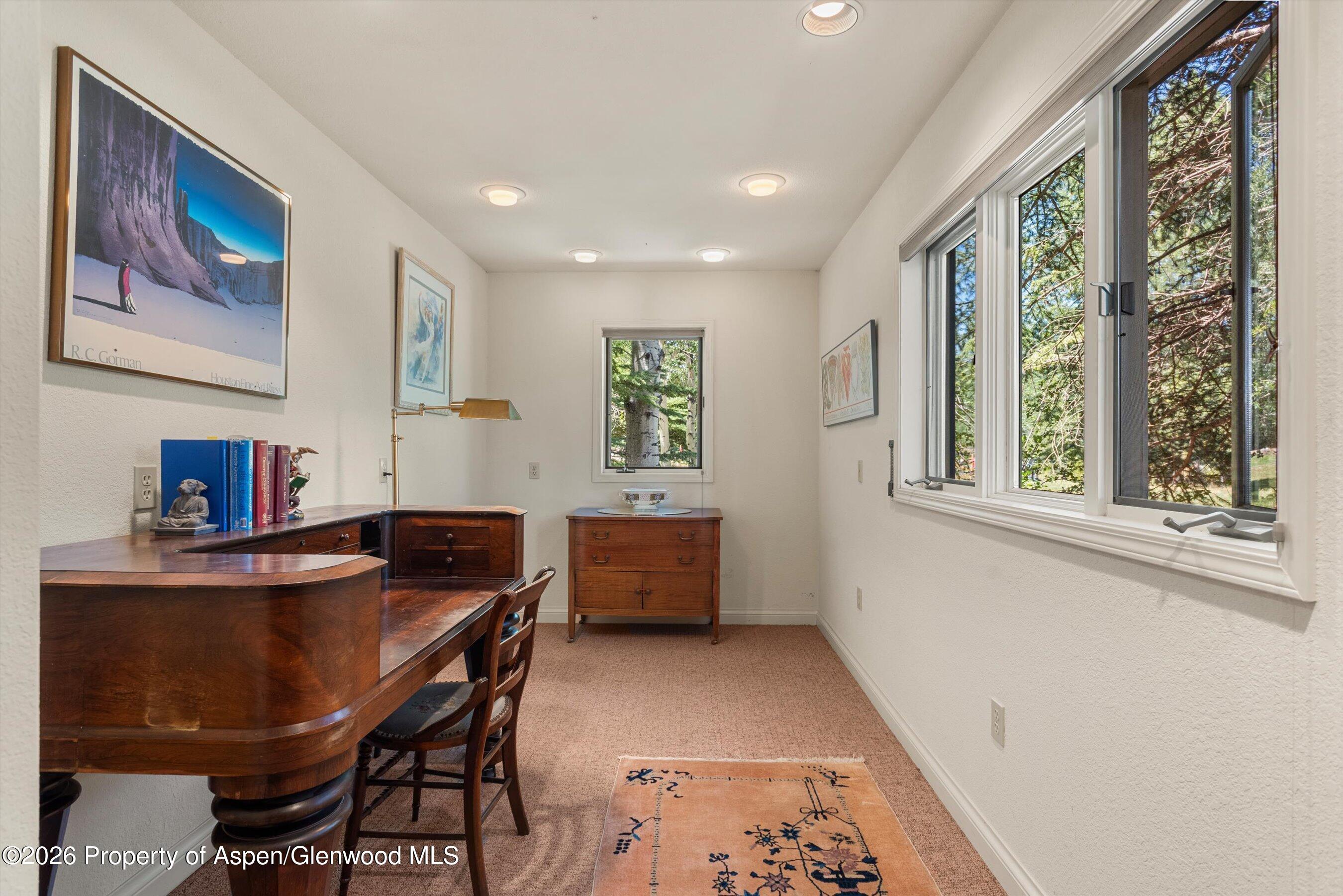 47 Davidson Lane Snowmass CO 81654
