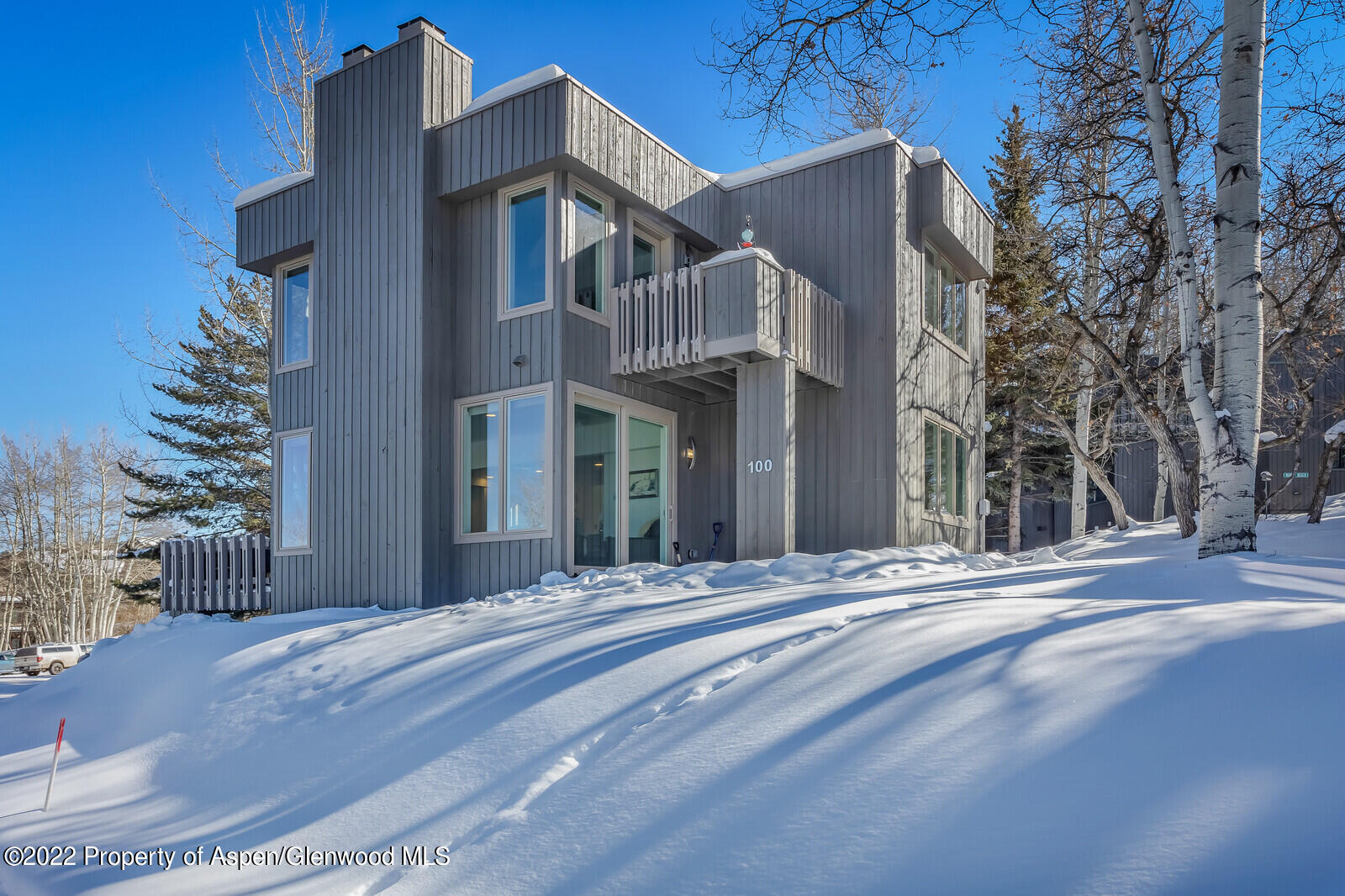 100 Meadow Ranch Road Snowmass Village CO 81615