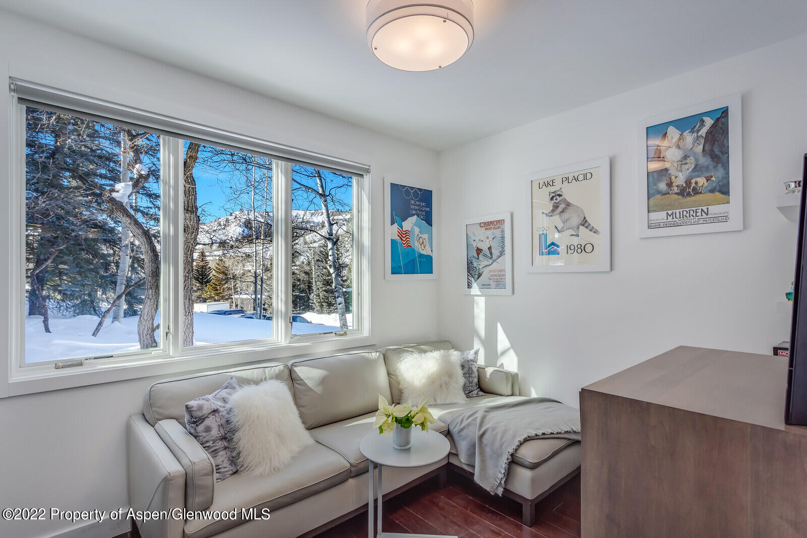 100 Meadow Ranch Road Snowmass Village CO 81615