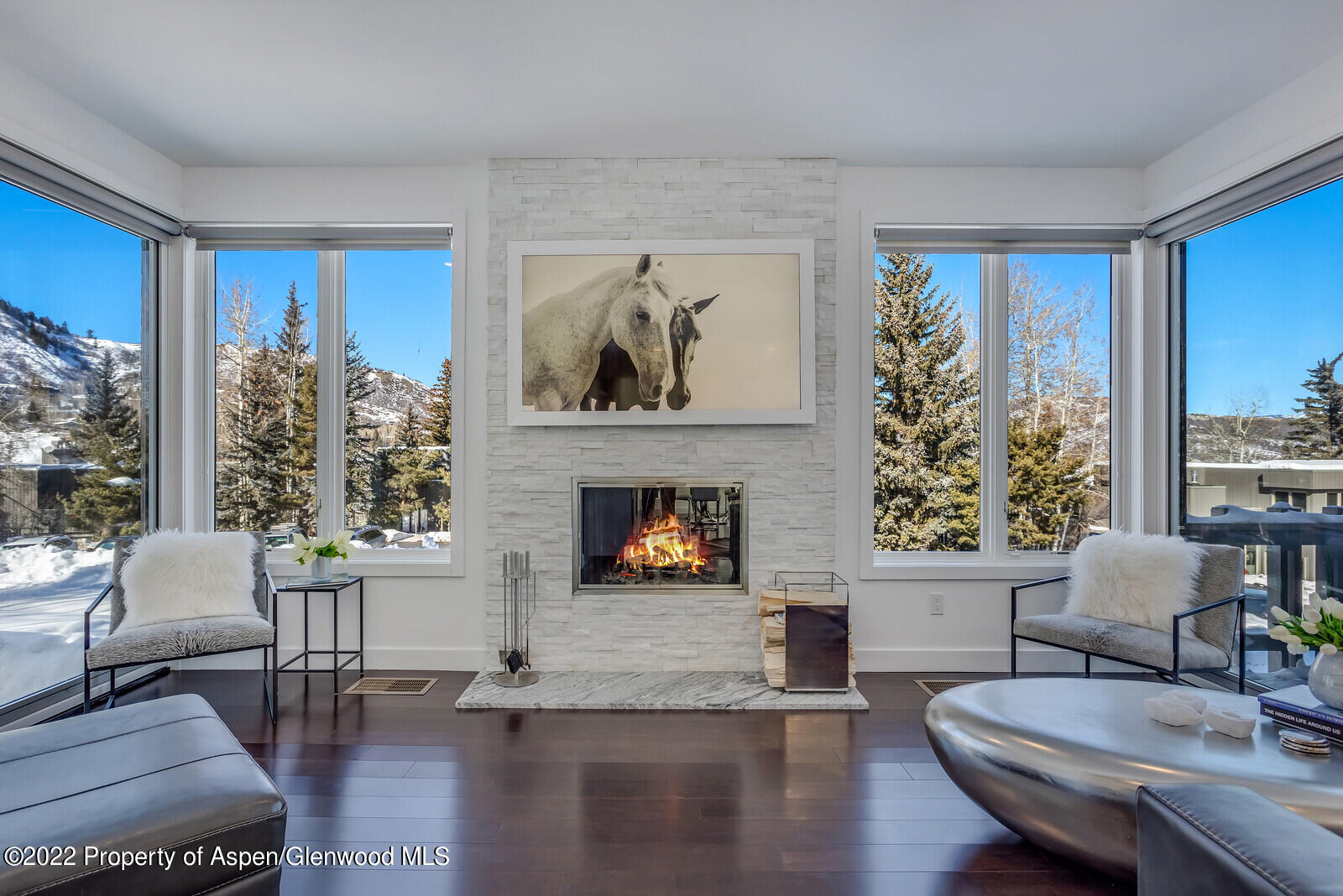 100 Meadow Ranch Road Snowmass Village CO 81615