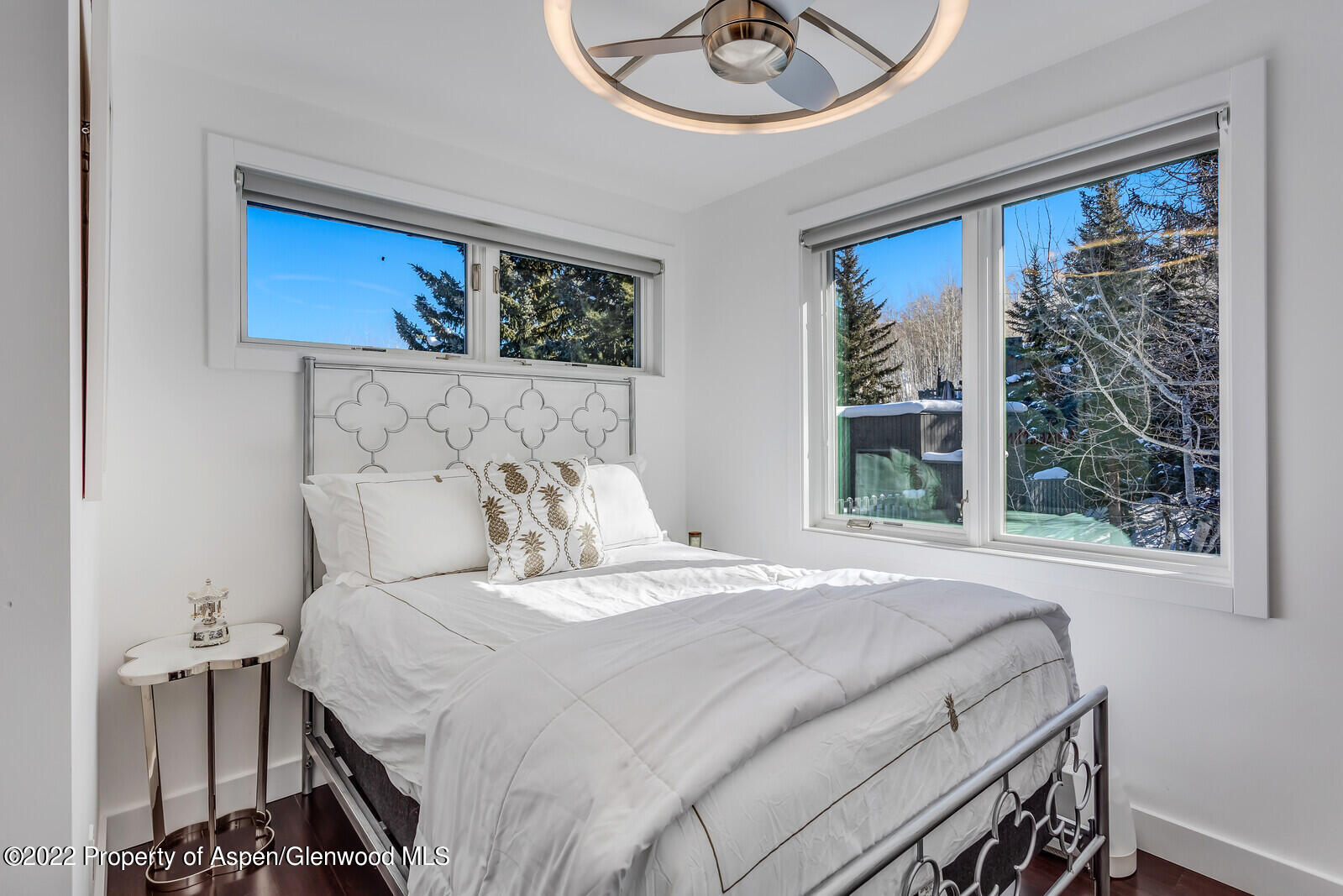 100 Meadow Ranch Road Snowmass Village CO 81615