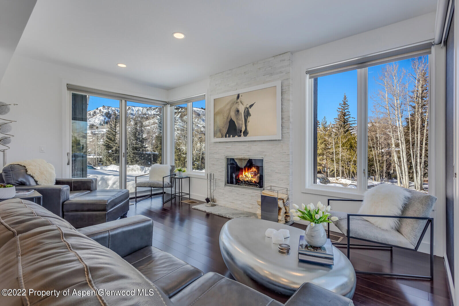 100 Meadow Ranch Road Snowmass Village CO 81615