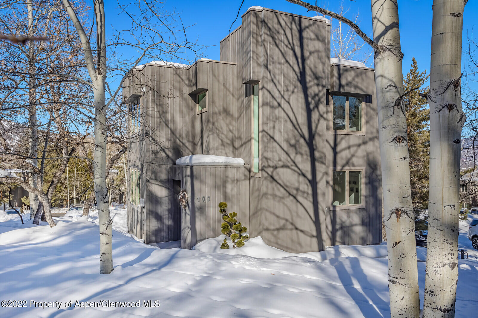 100 Meadow Ranch Road Snowmass Village CO 81615