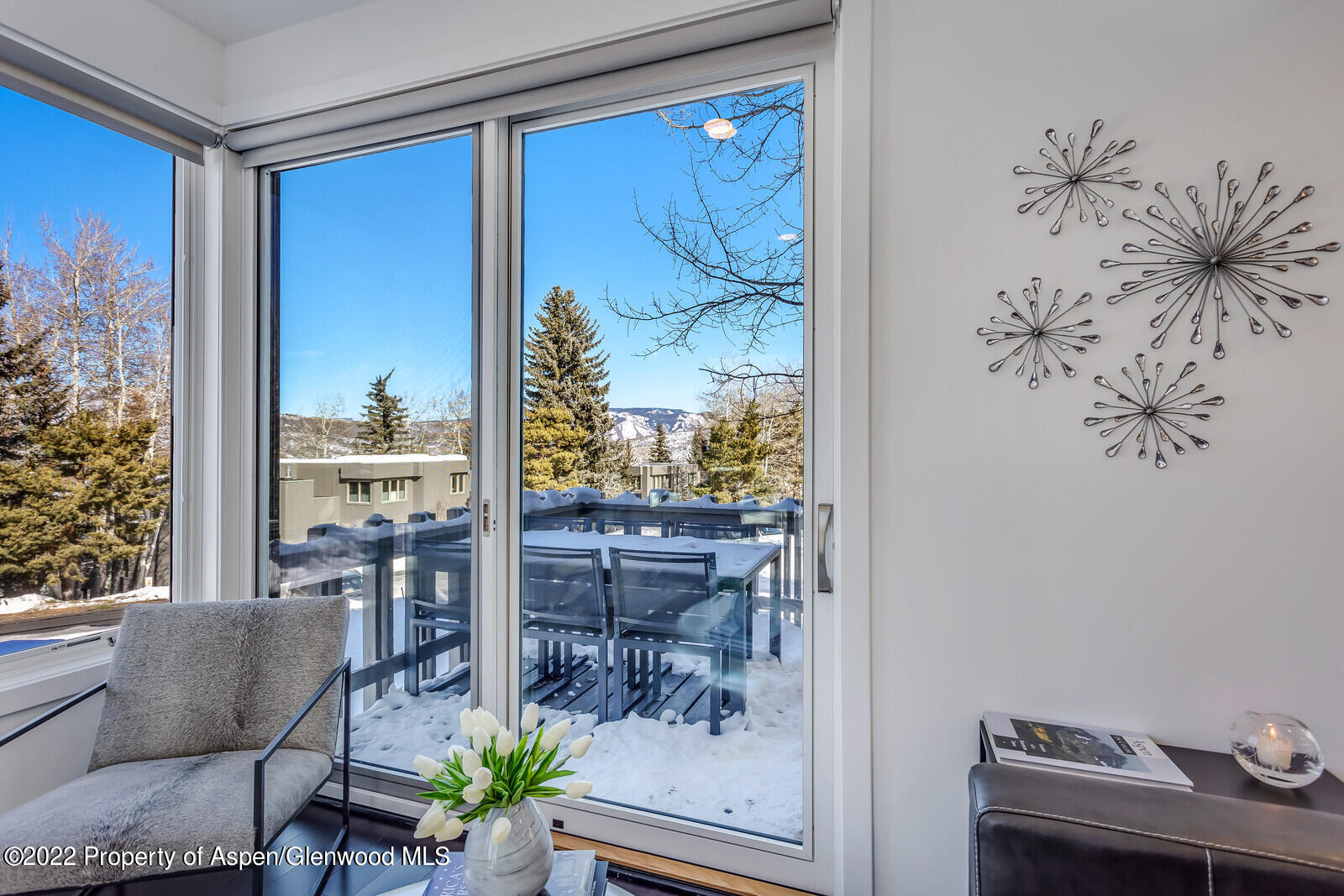 100 Meadow Ranch Road Snowmass Village CO 81615