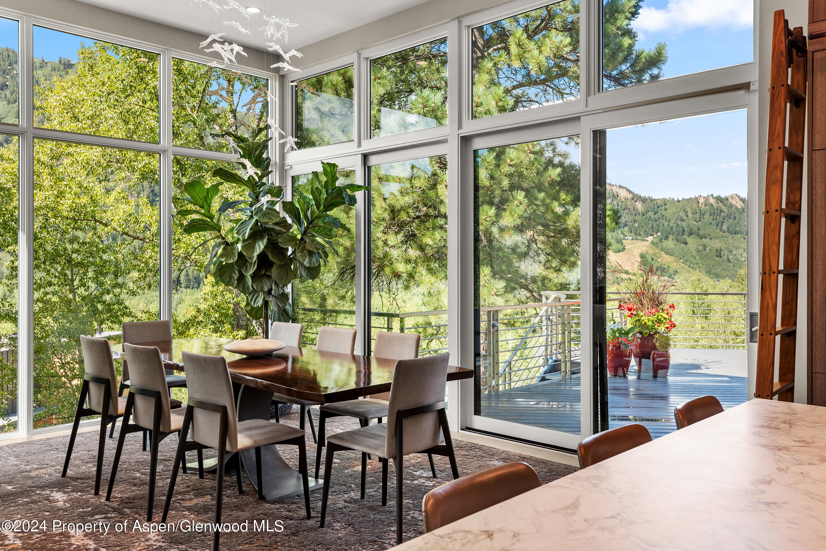 552 Mountain Laurel Drive Aspen CO 81611