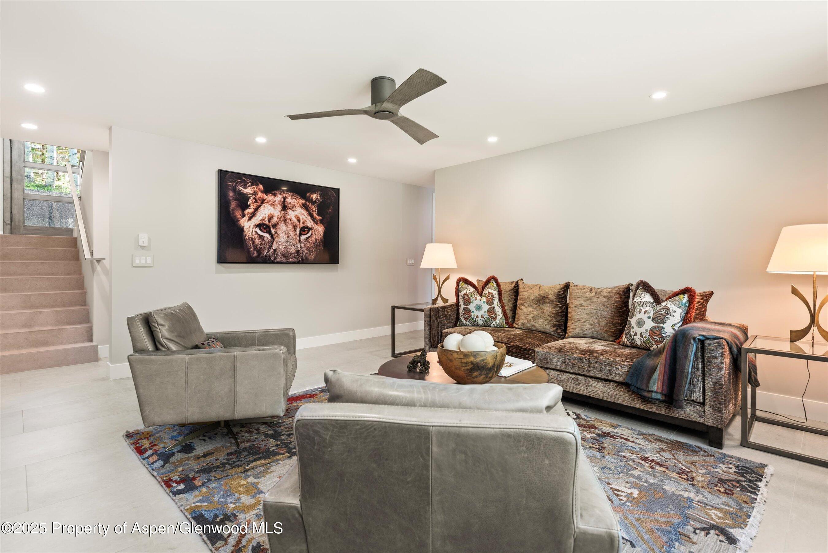 552 Mountain Laurel Drive Aspen CO 81611