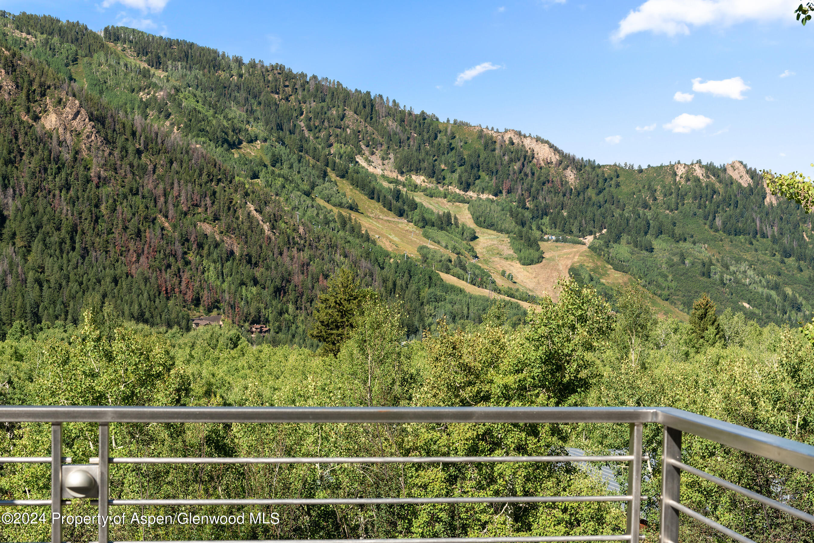 552 Mountain Laurel Drive Aspen CO 81611