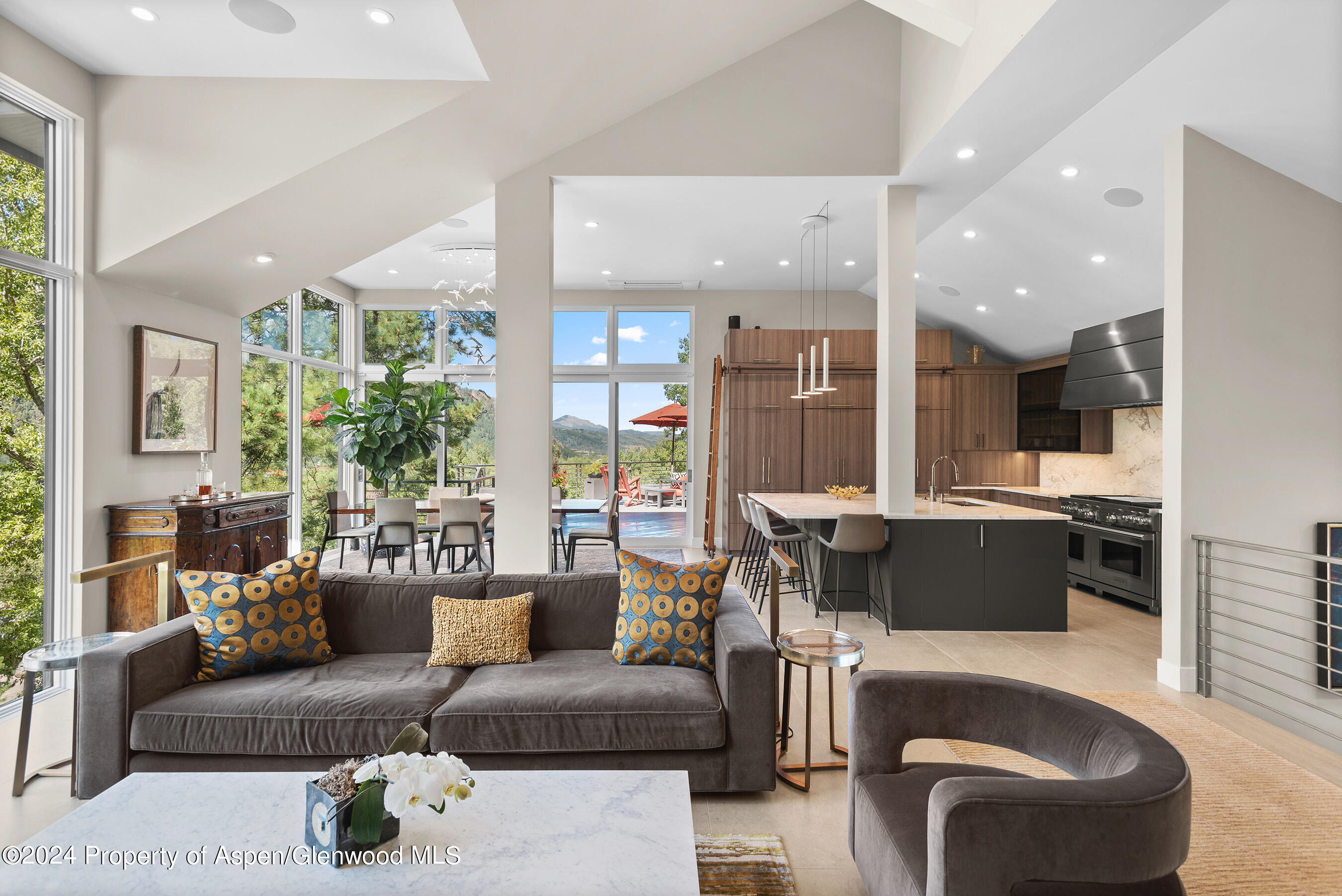 552 Mountain Laurel Drive Aspen CO 81611