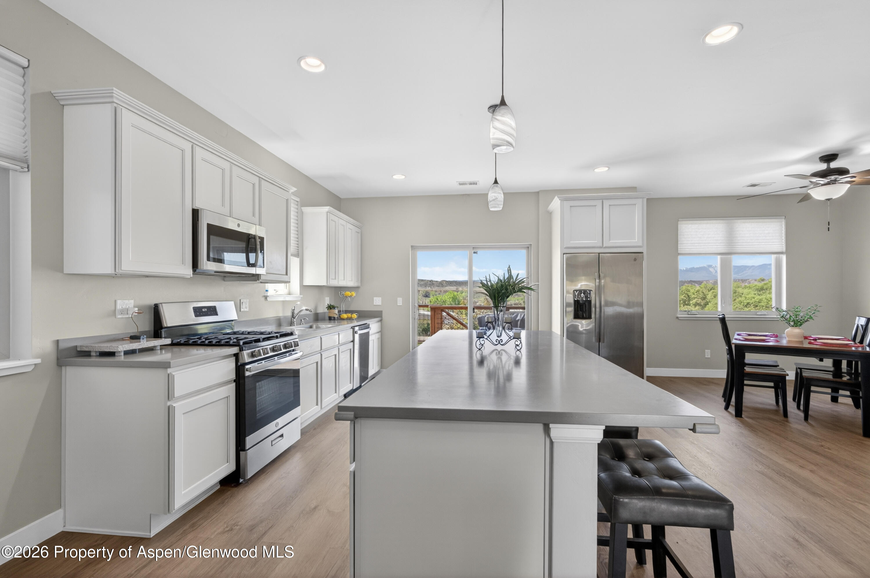 233 Roan Court Silt CO 81652