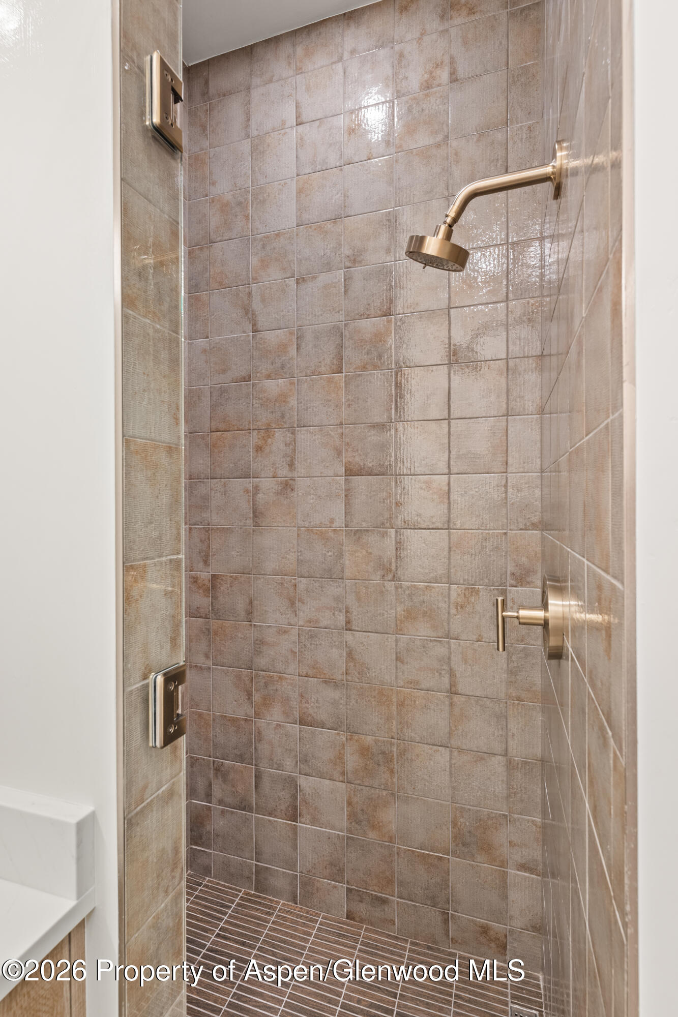 860 Perry Ridge Carbondale CO 81623