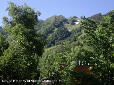 314 W Main Street Aspen CO 81611