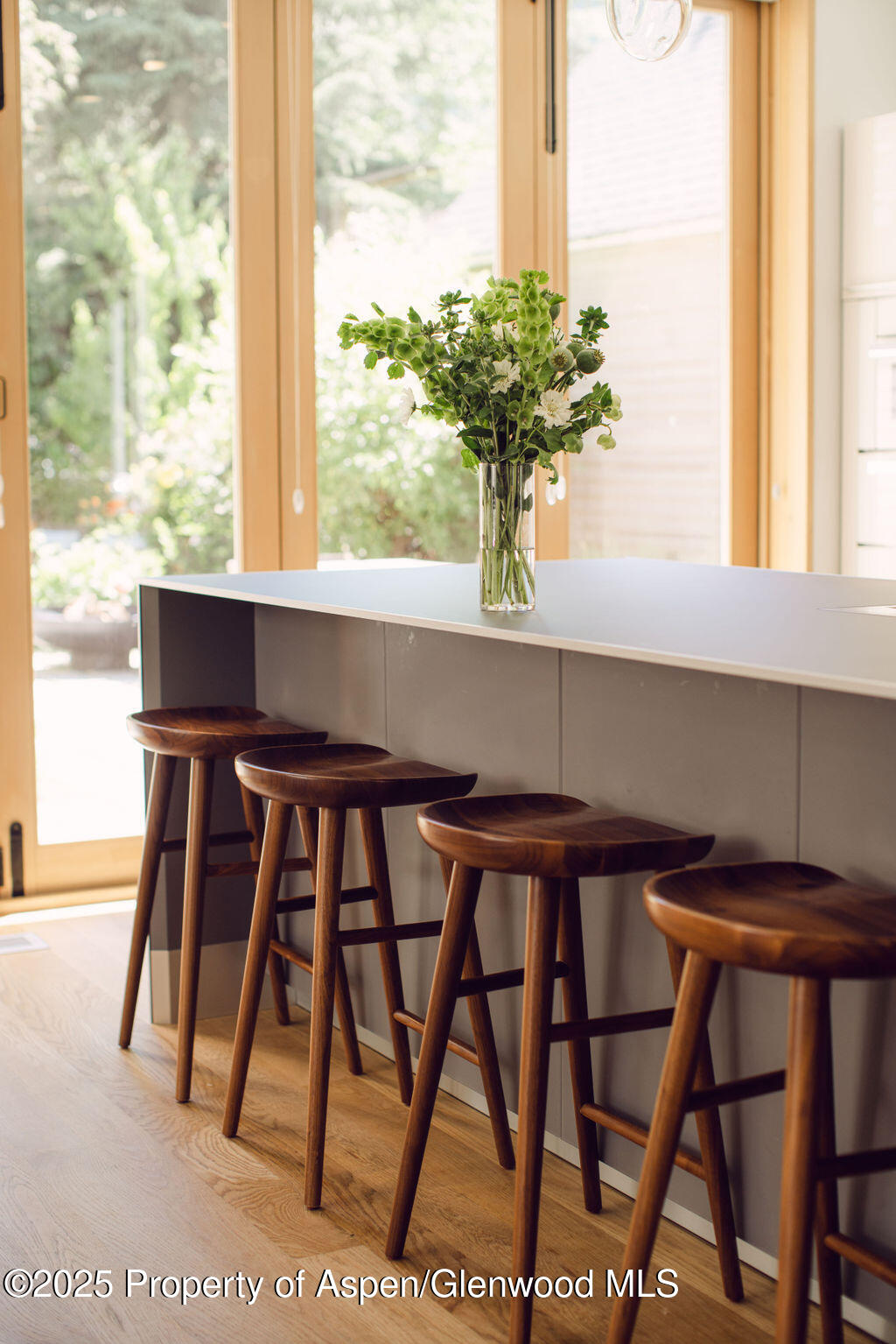 1006 E Cooper Avenue Aspen CO 81611