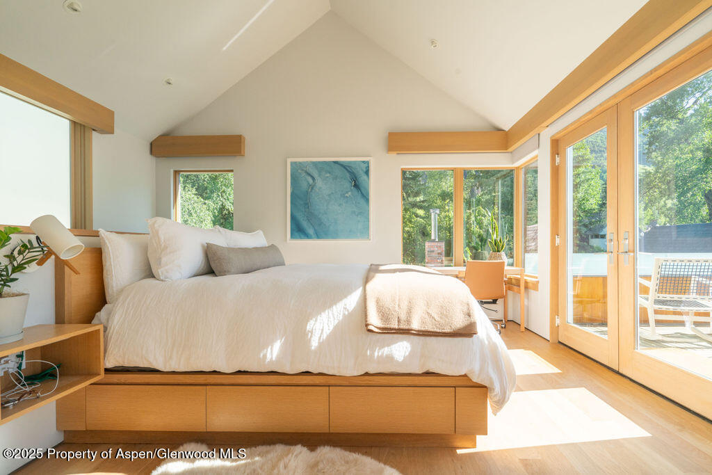 1006 E Cooper Avenue Aspen CO 81611