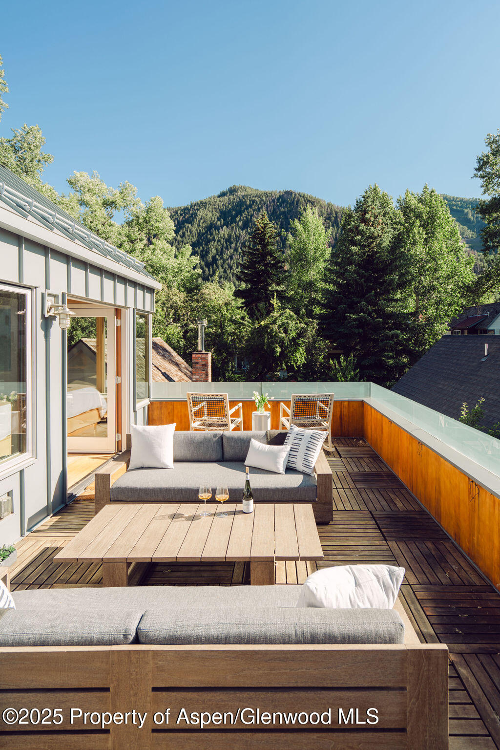 1006 E Cooper Avenue Aspen CO 81611