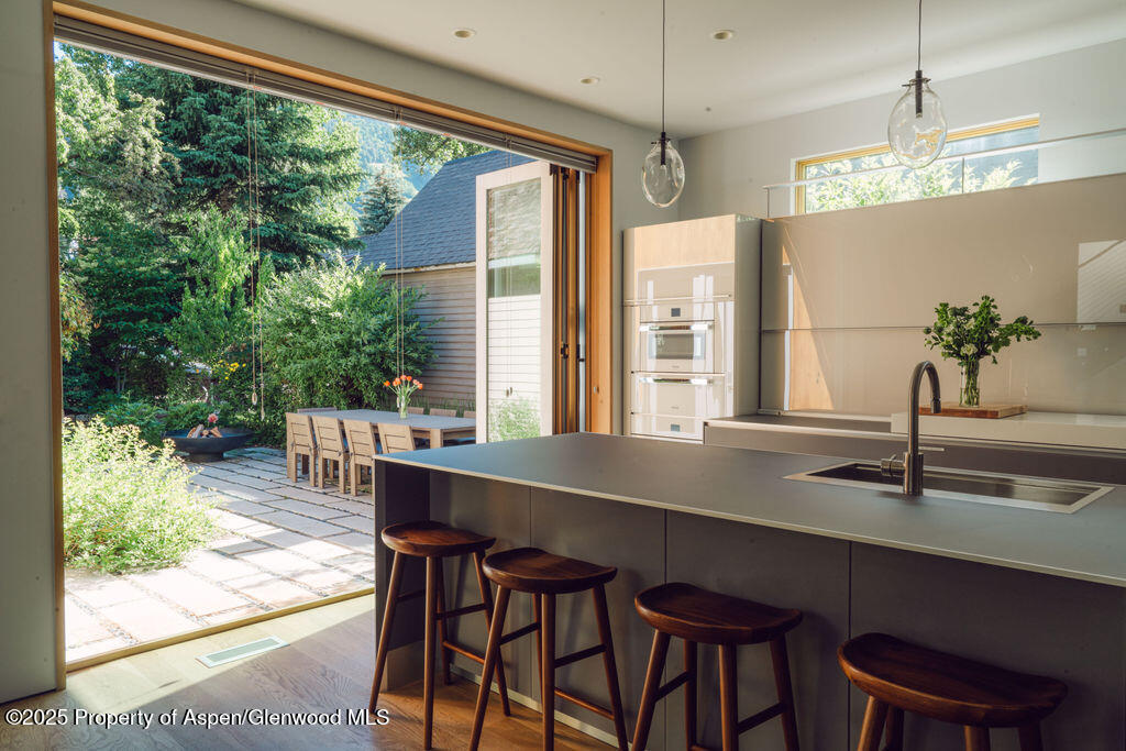 1006 E Cooper Avenue Aspen CO 81611