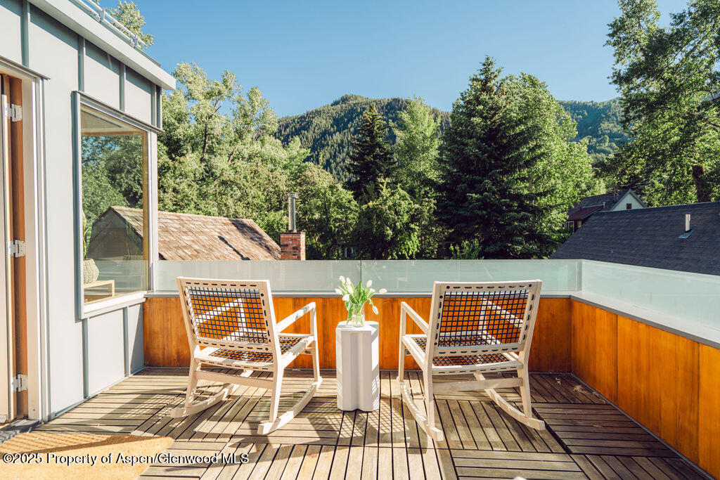 1006 E Cooper Avenue Aspen CO 81611
