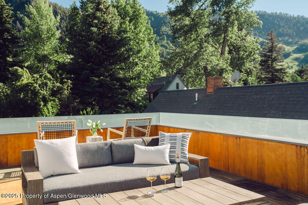 1006 E Cooper Avenue Aspen CO 81611