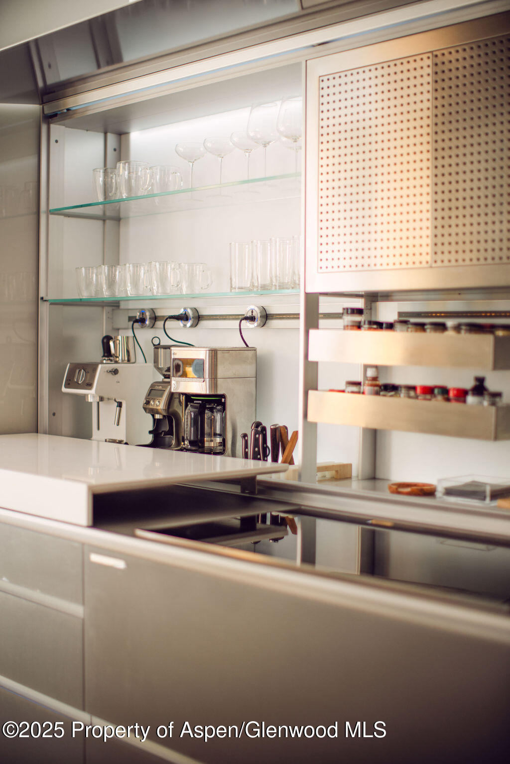 1006 E Cooper Avenue Aspen CO 81611