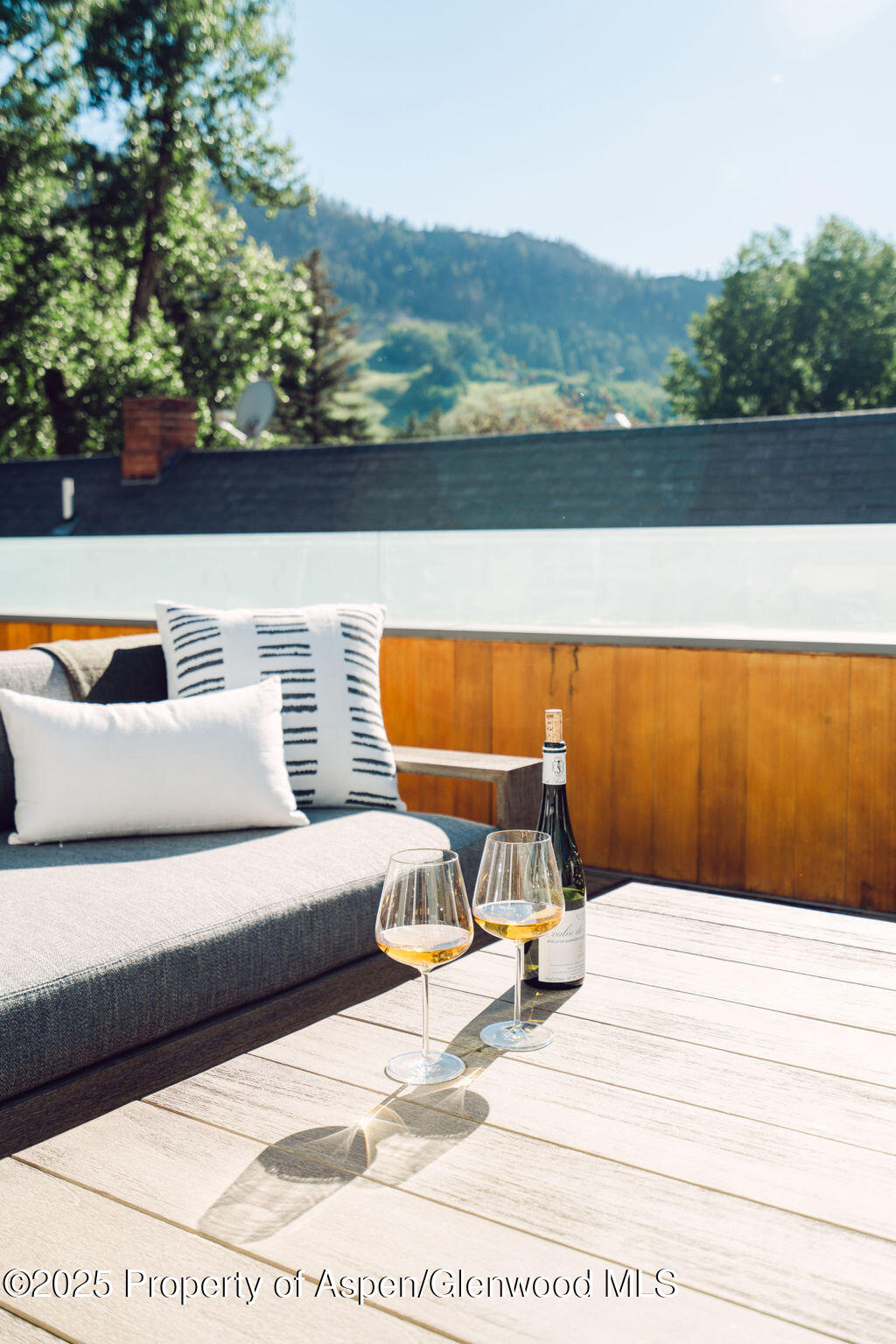 1006 E Cooper Avenue Aspen CO 81611