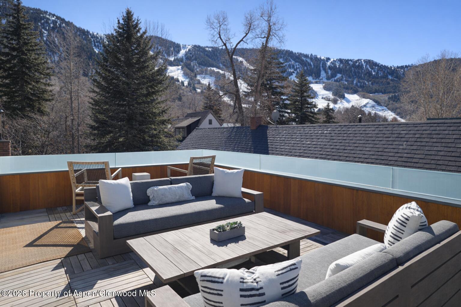 1006 E Cooper Avenue Aspen CO 81611