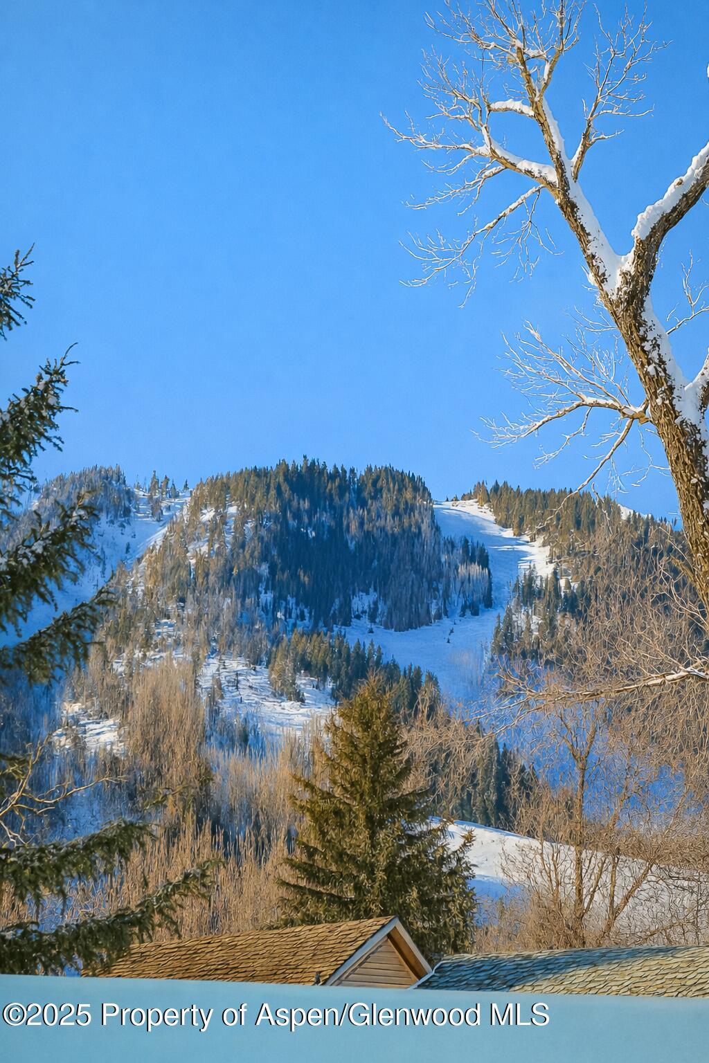 1006 E Cooper Avenue Aspen CO 81611