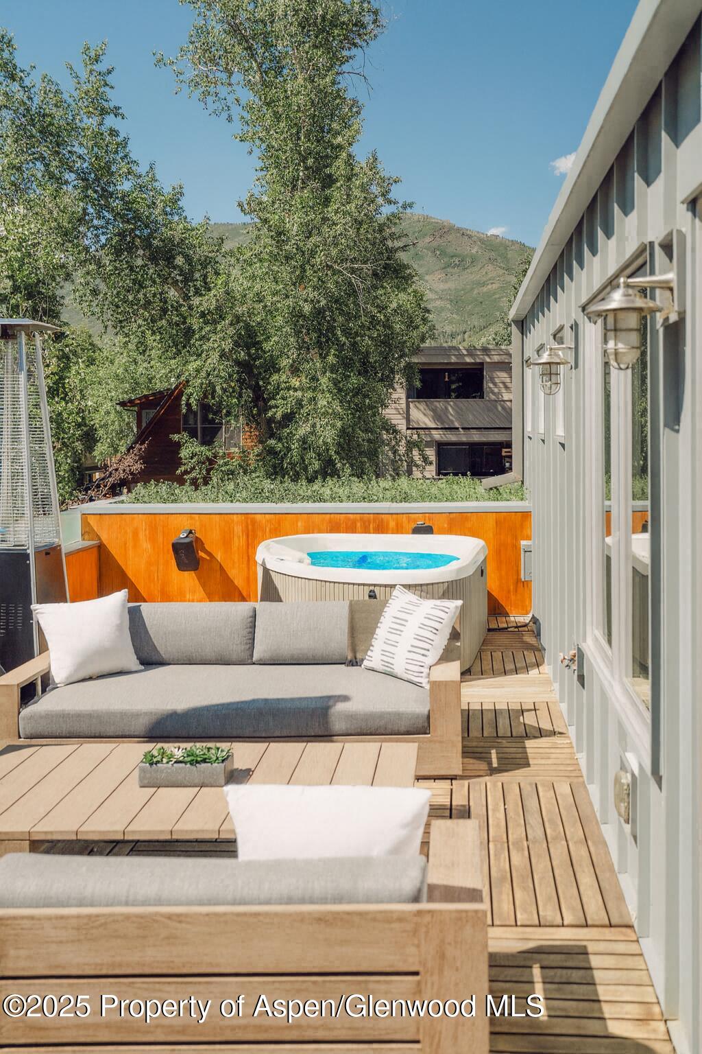 1006 E Cooper Avenue Aspen CO 81611