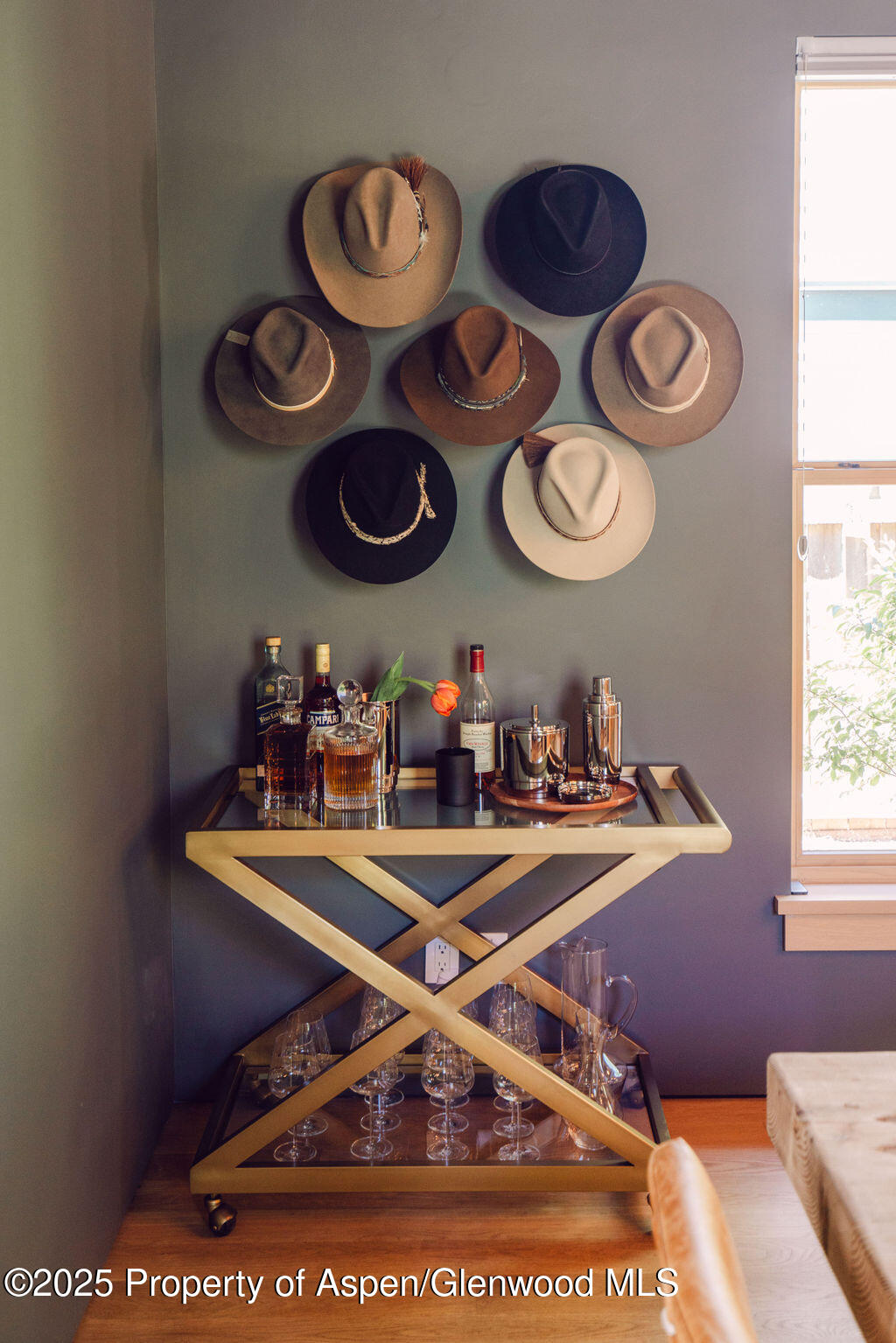 1006 E Cooper Avenue Aspen CO 81611