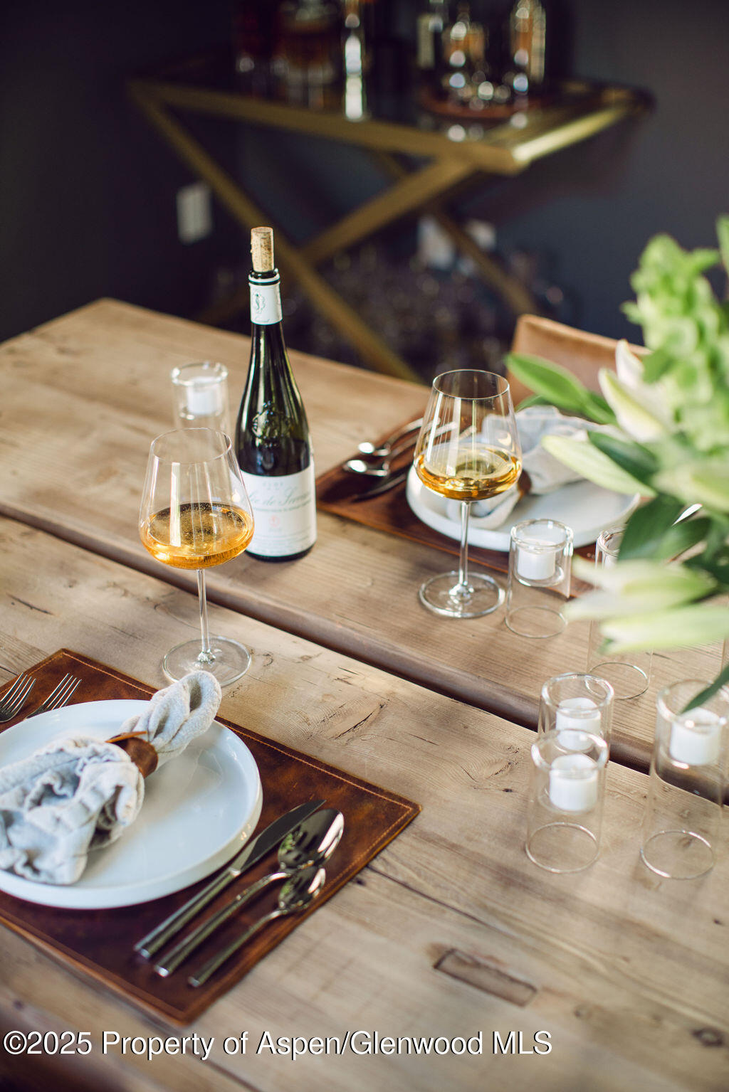 1006 E Cooper Avenue Aspen CO 81611