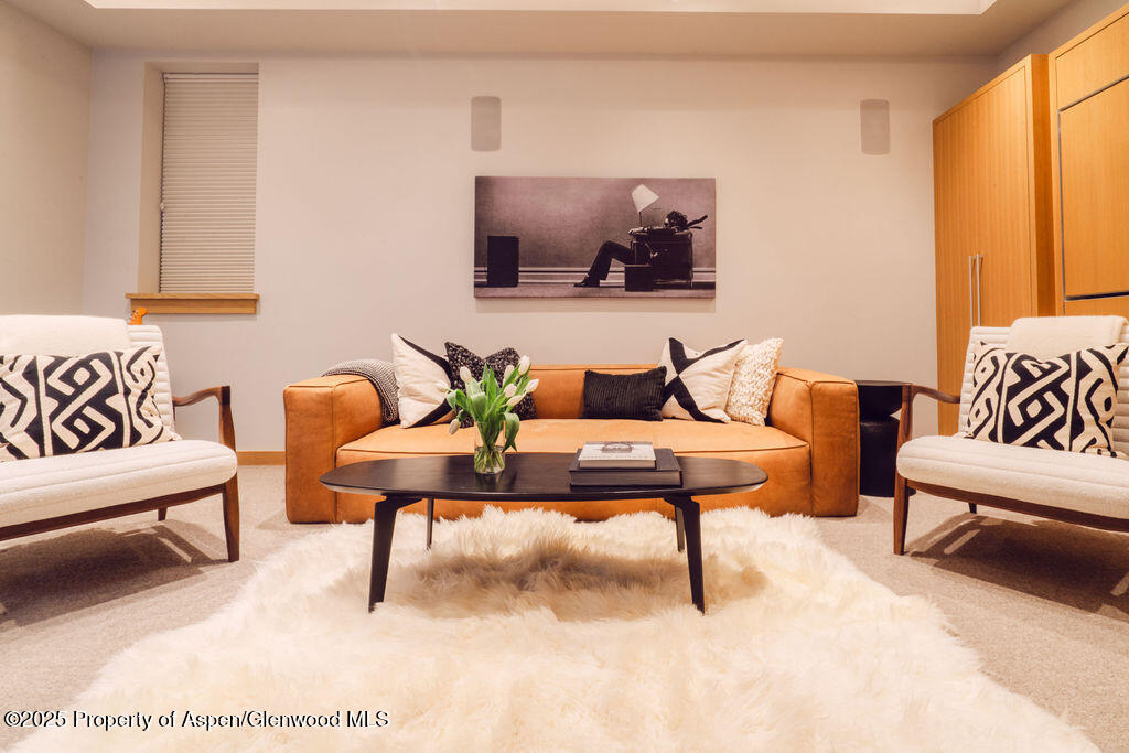 1006 E Cooper Avenue Aspen CO 81611