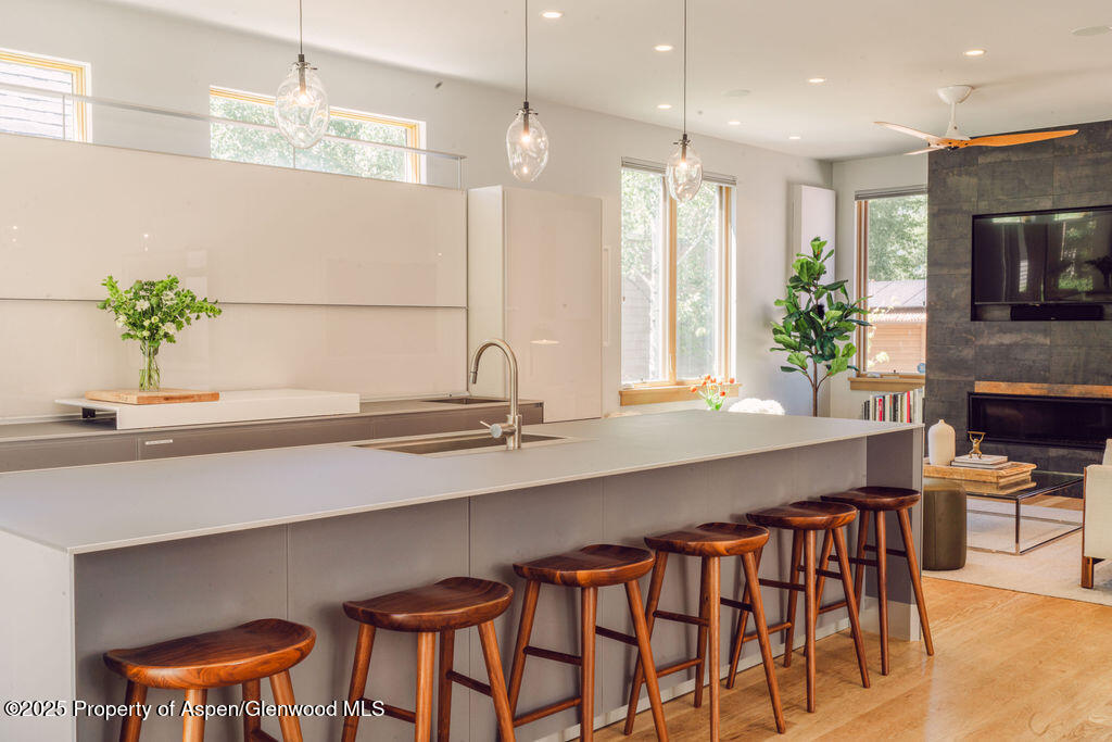 1006 E Cooper Avenue Aspen CO 81611